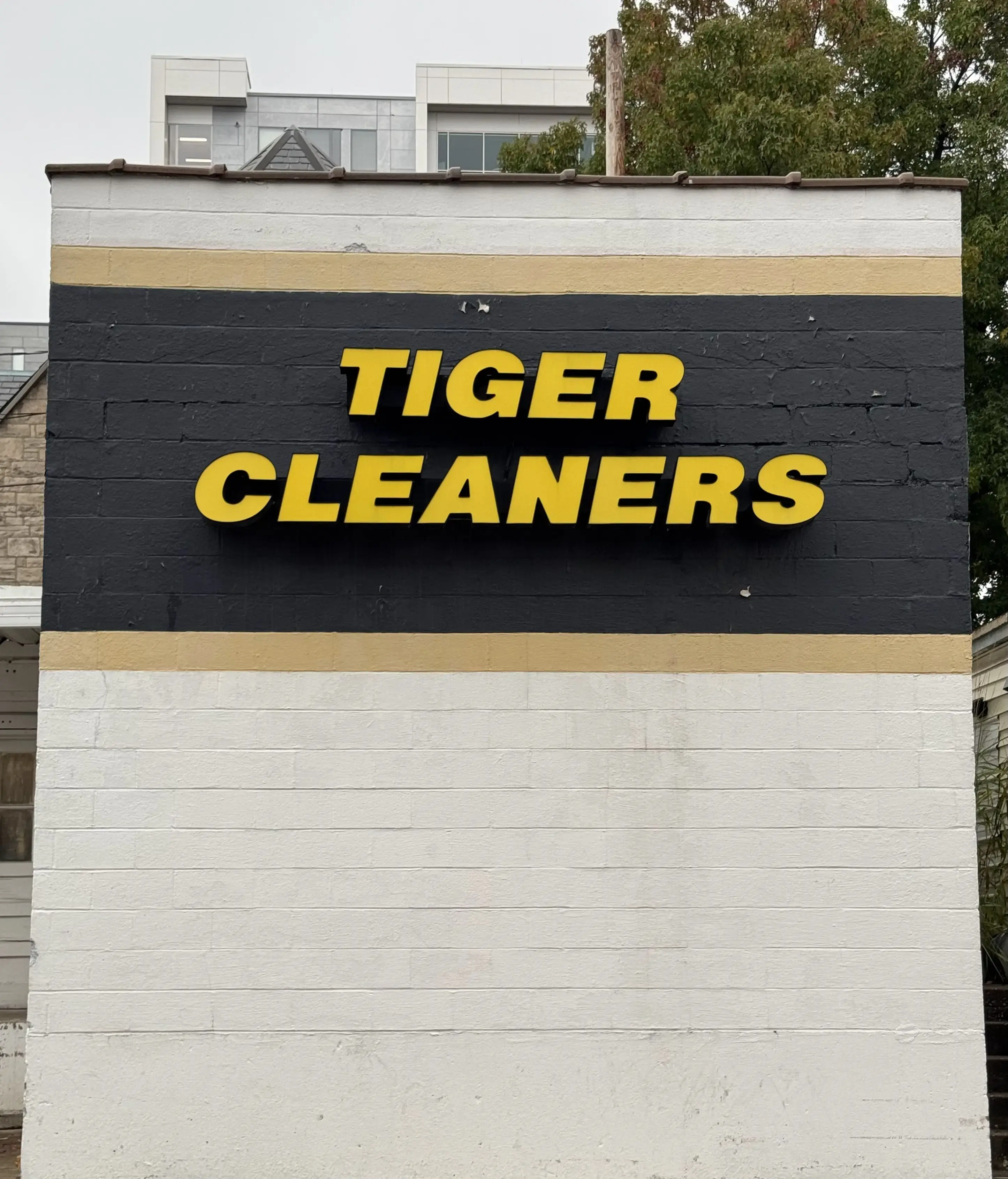 Tiger Cleaners thumbnail 10