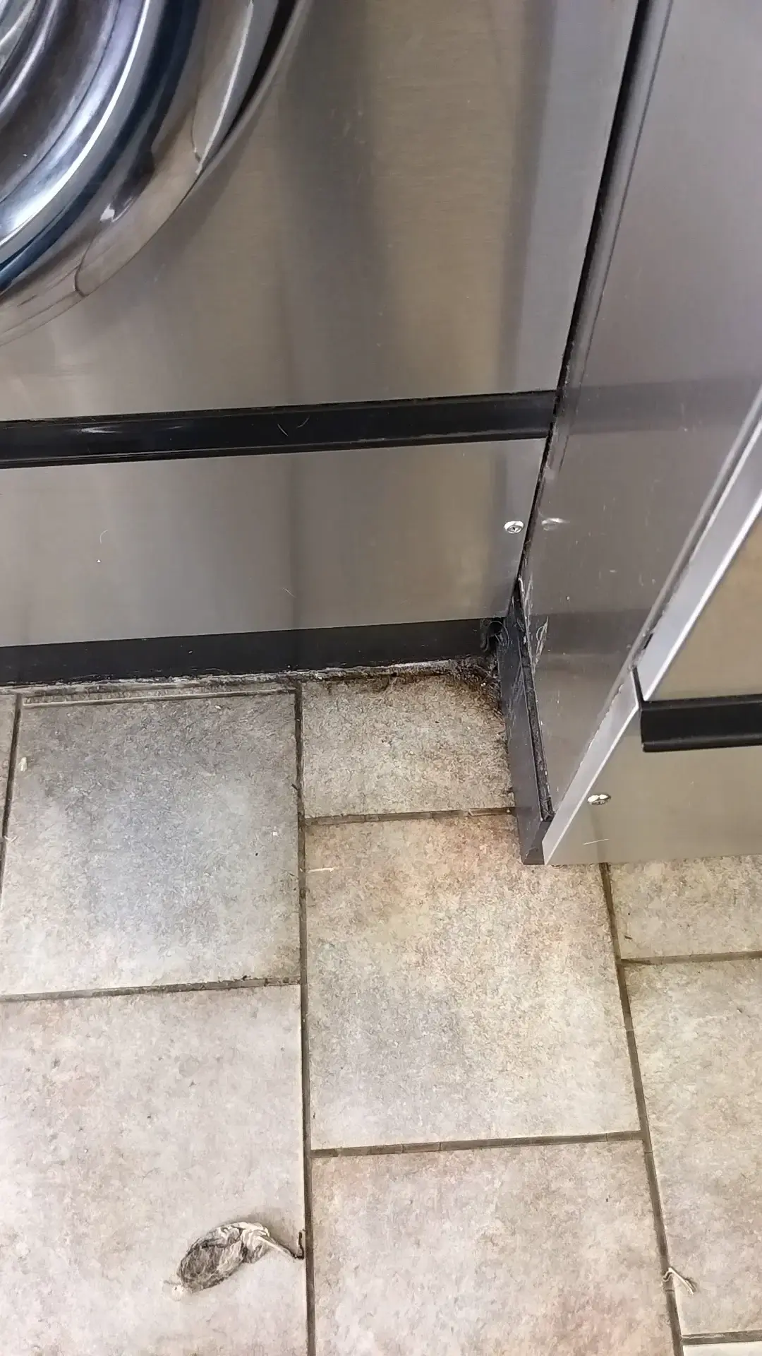 Tiger Wash Central Laundromat & Car Wash thumbnail 5