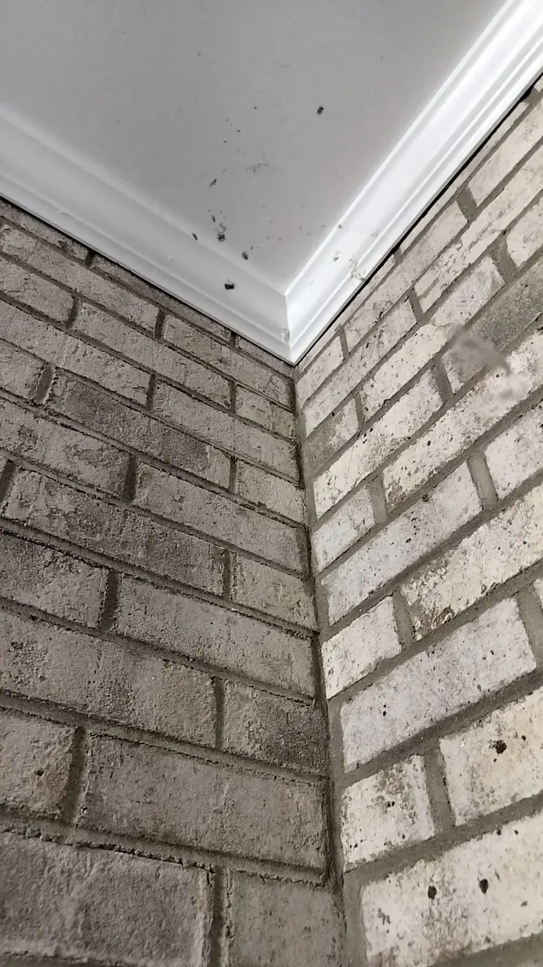 Tiger Wash Central Laundromat & Car Wash thumbnail 10