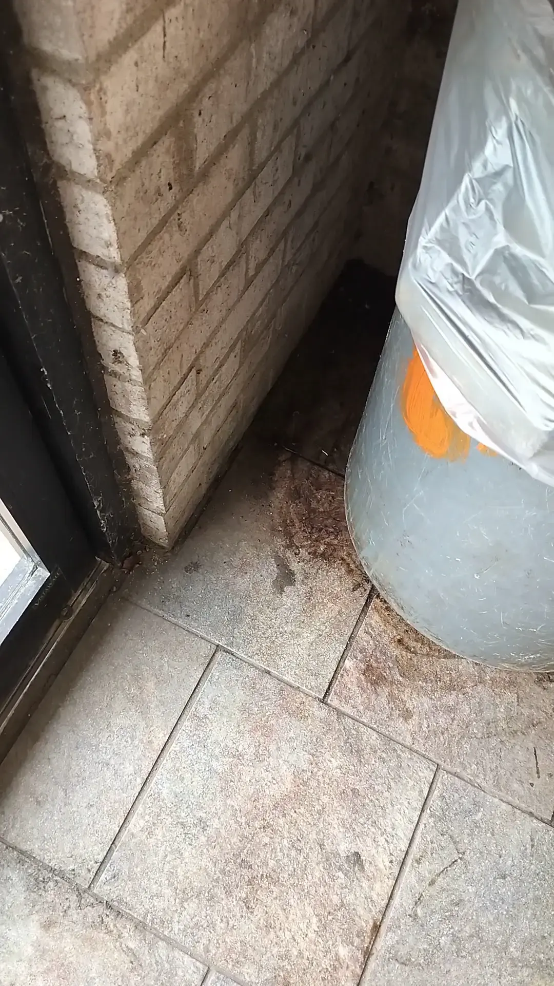 Tiger Wash Central Laundromat & Car Wash thumbnail 7