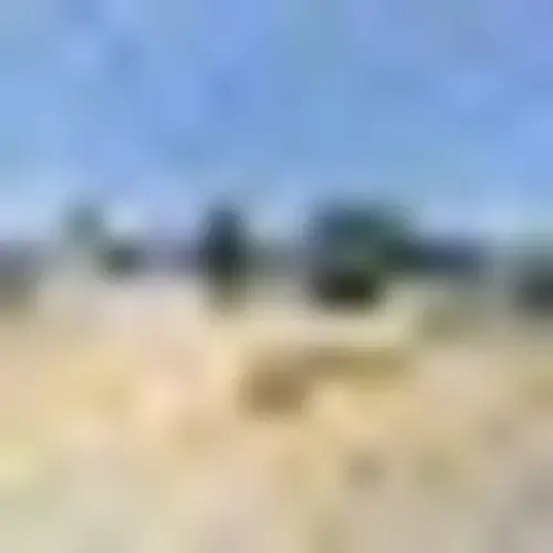 Tiger Wash Liberty Laundromat & Car Wash thumbnail 9