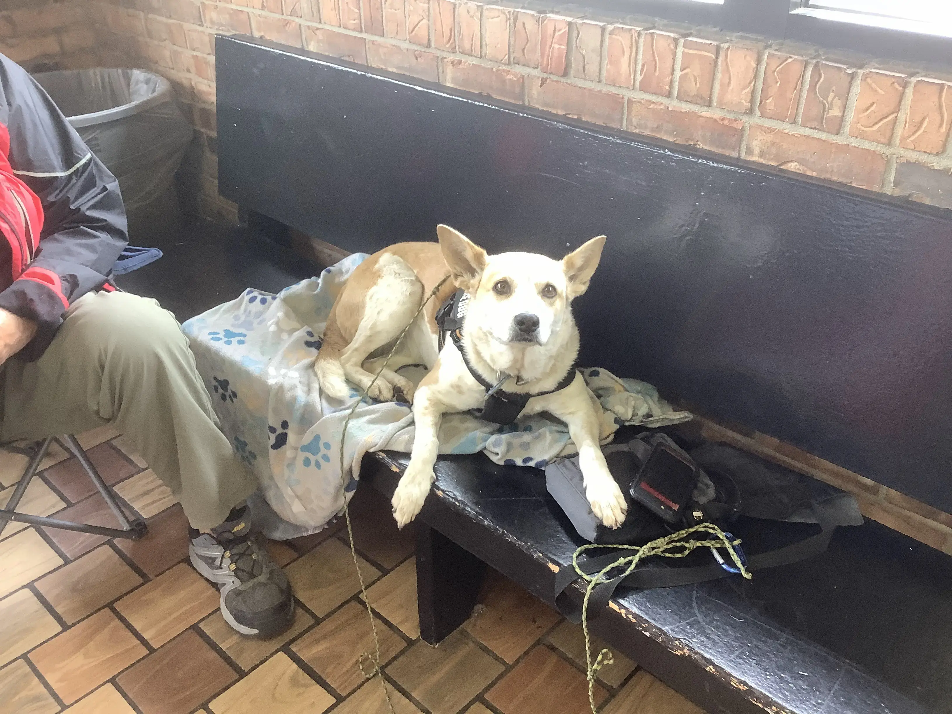 Tiger Wash Pendleton Laundromat & Car Wash - Image 11