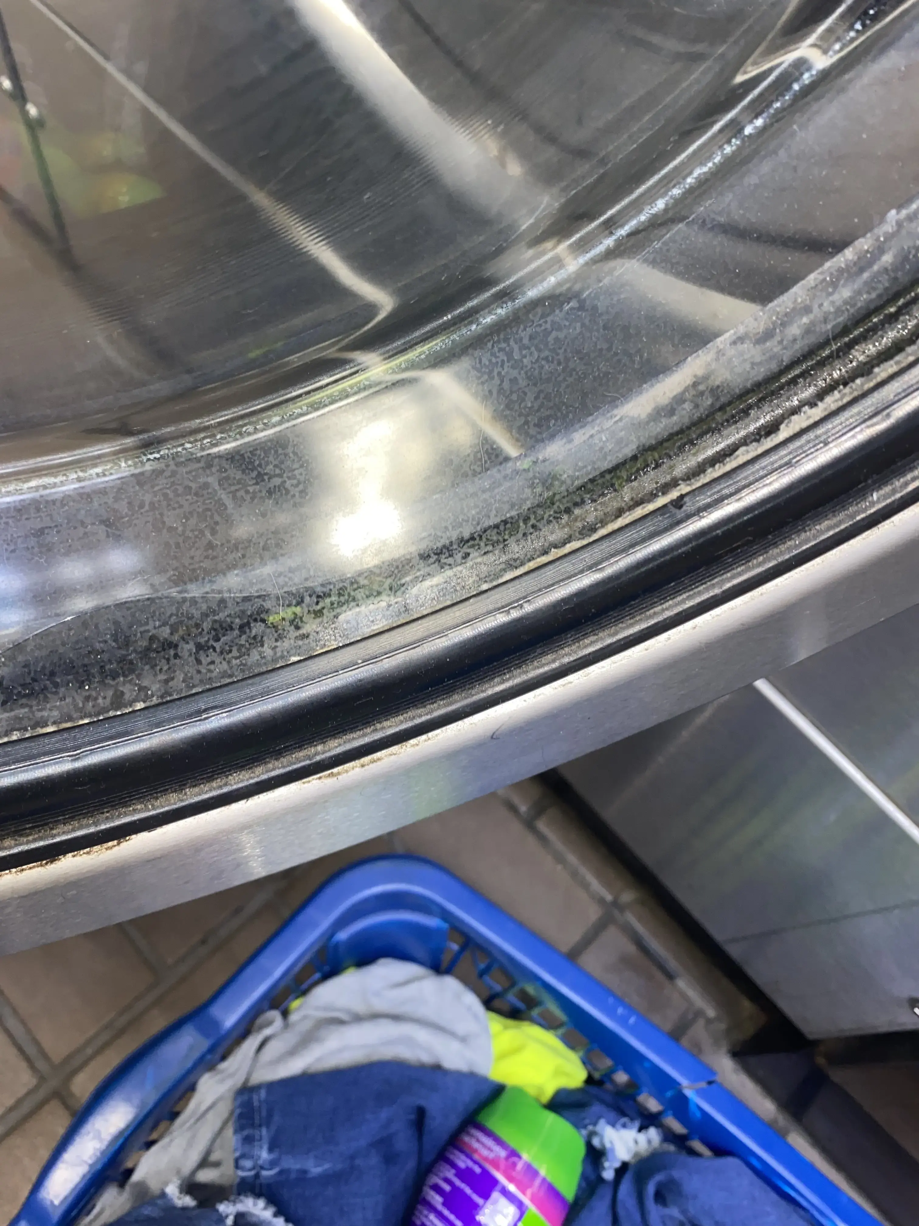 Timuquana laundromat thumbnail 5