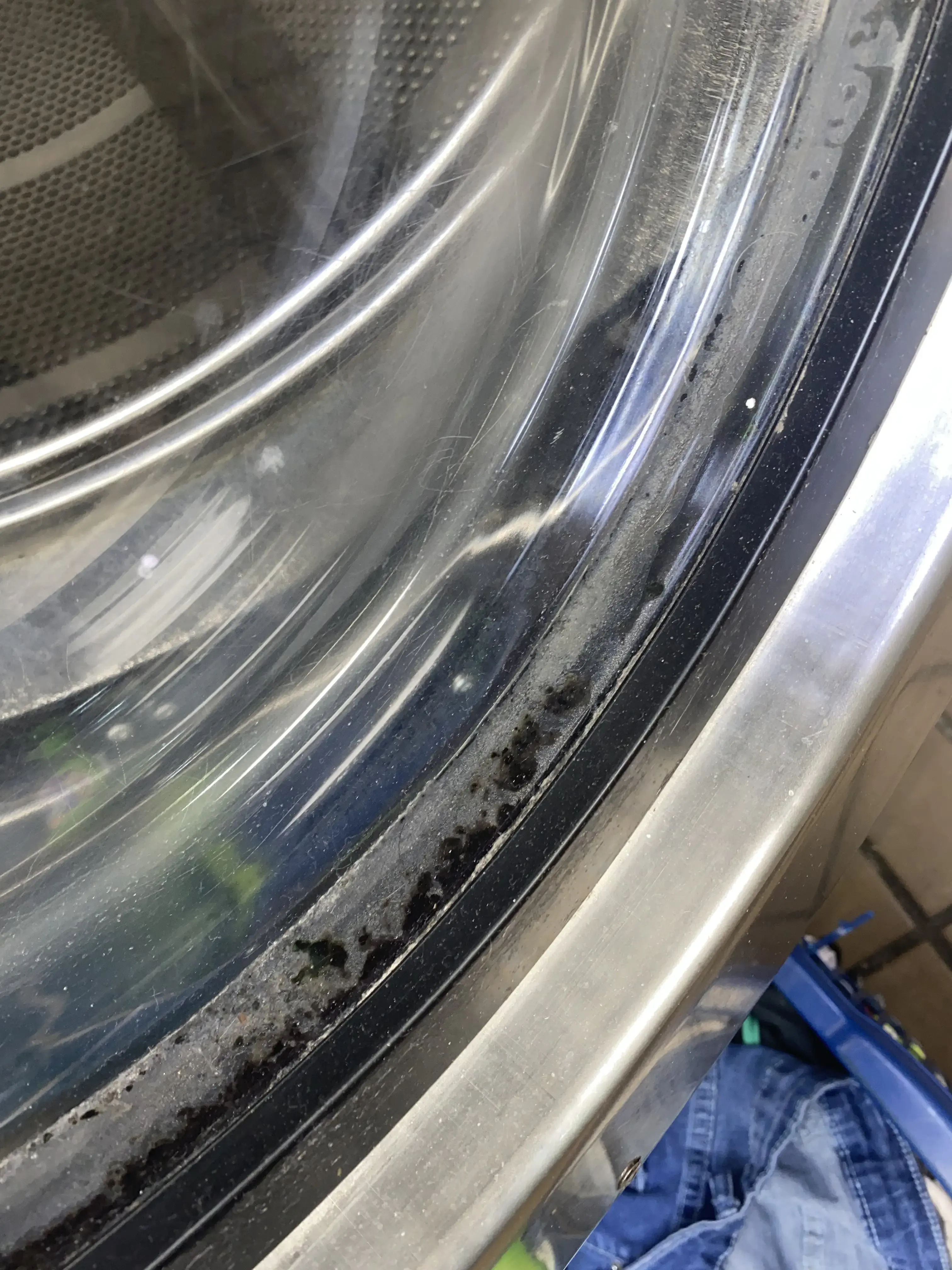 Timuquana laundromat - Image 2