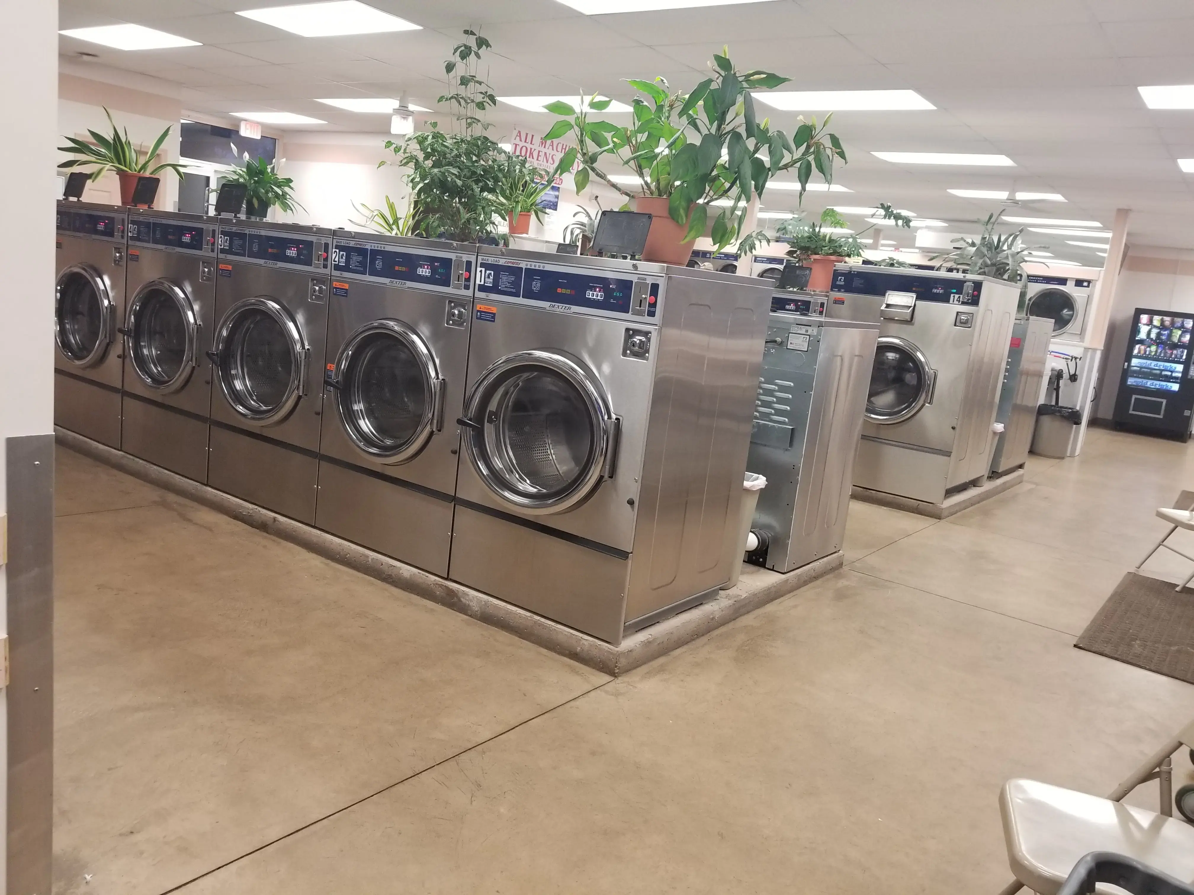 Tiny Bubbles Laundromat thumbnail 20