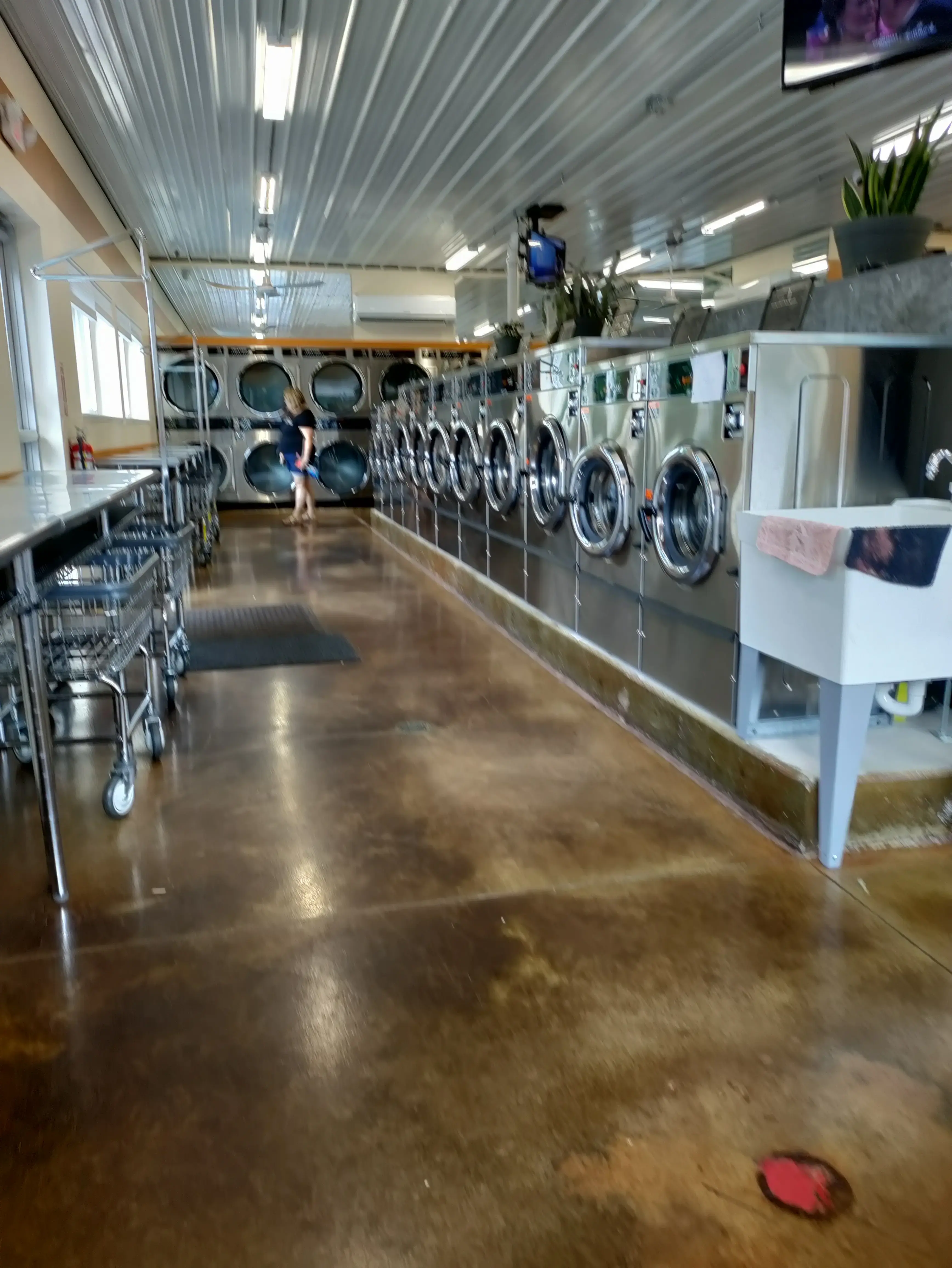 Tiny Bubbles Laundromat thumbnail 11