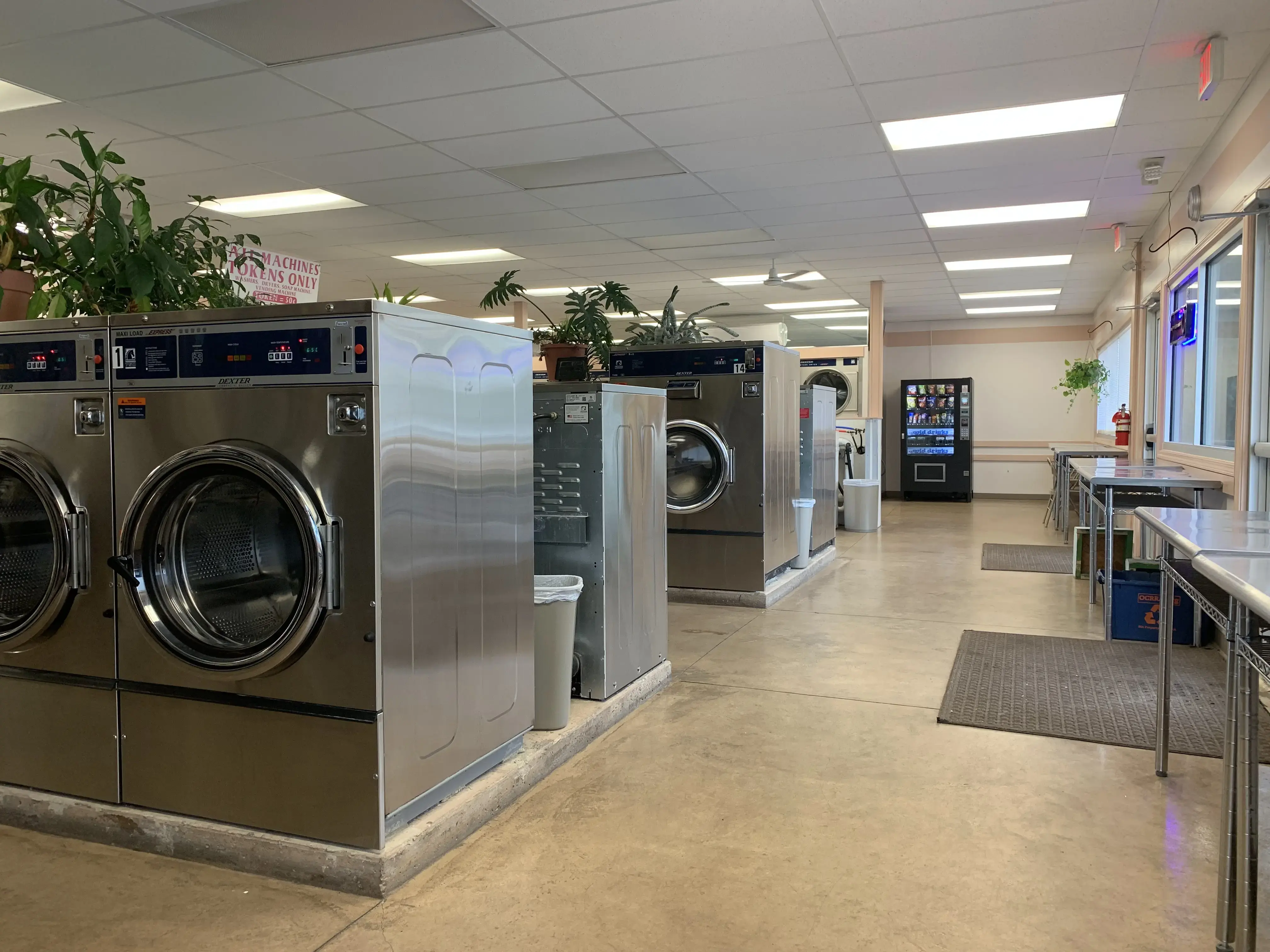 Tiny Bubbles Laundromat - Image 19
