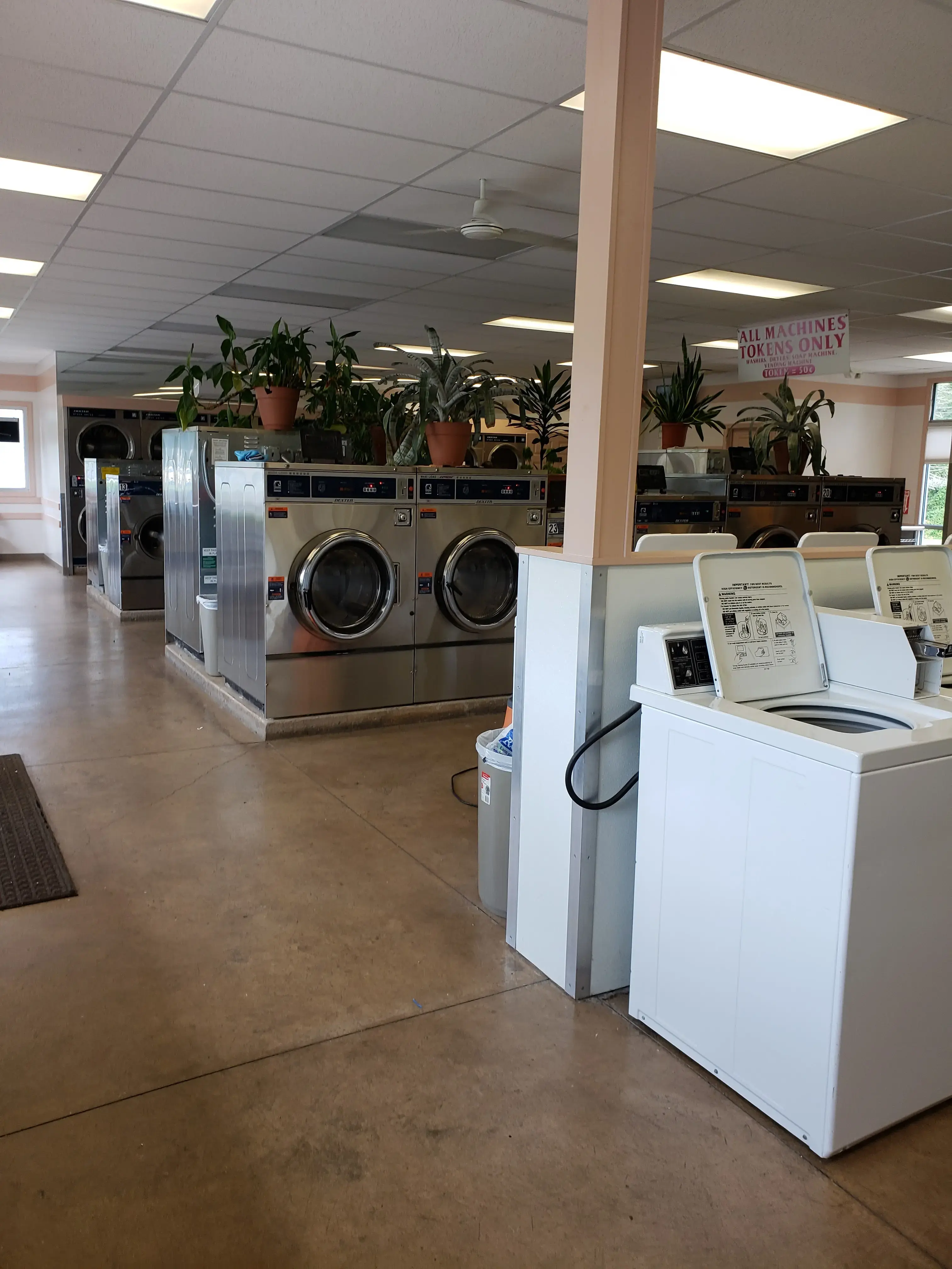 Tiny Bubbles Laundromat - Image 18