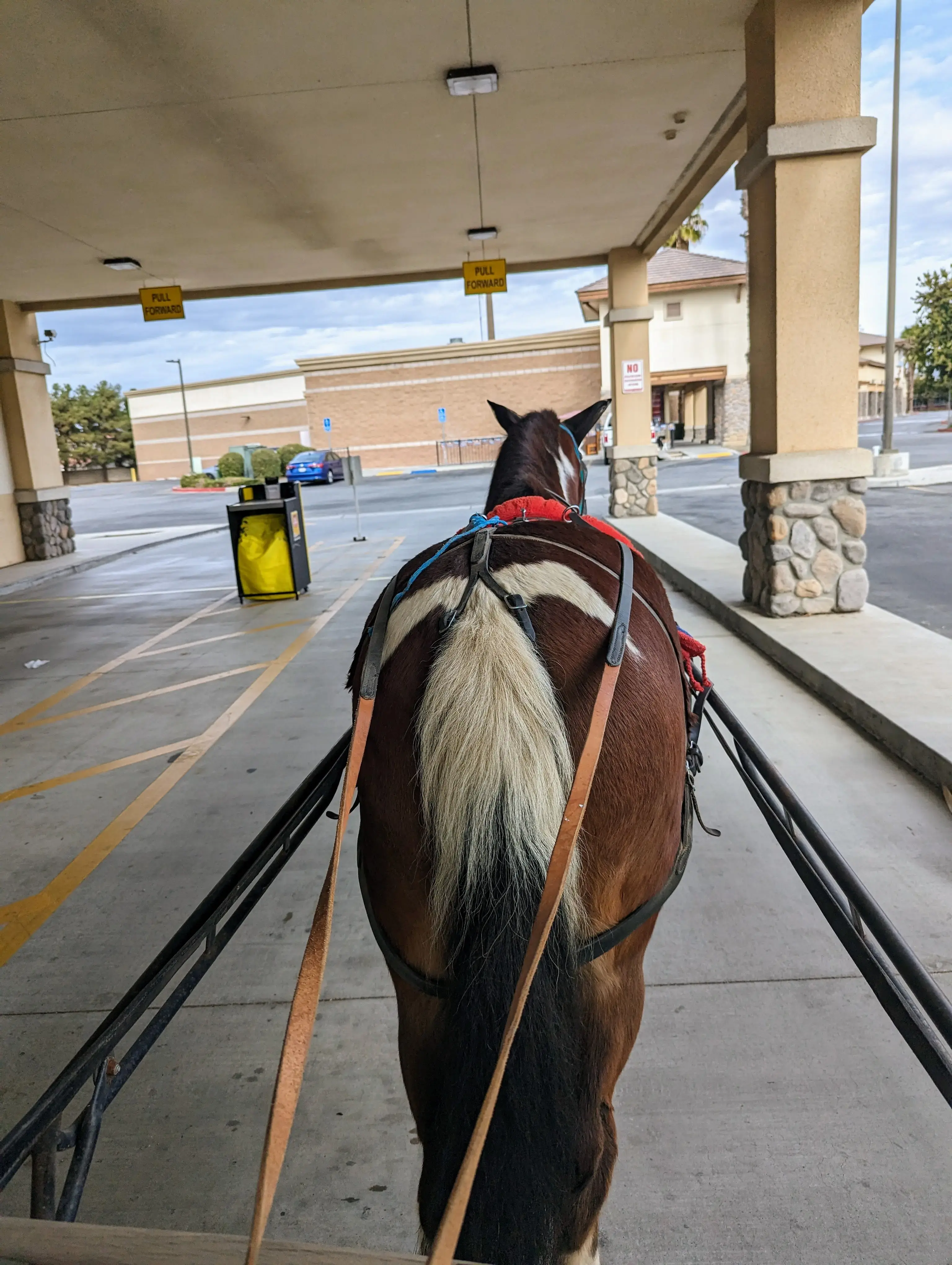 Today Cleaners thumbnail 4