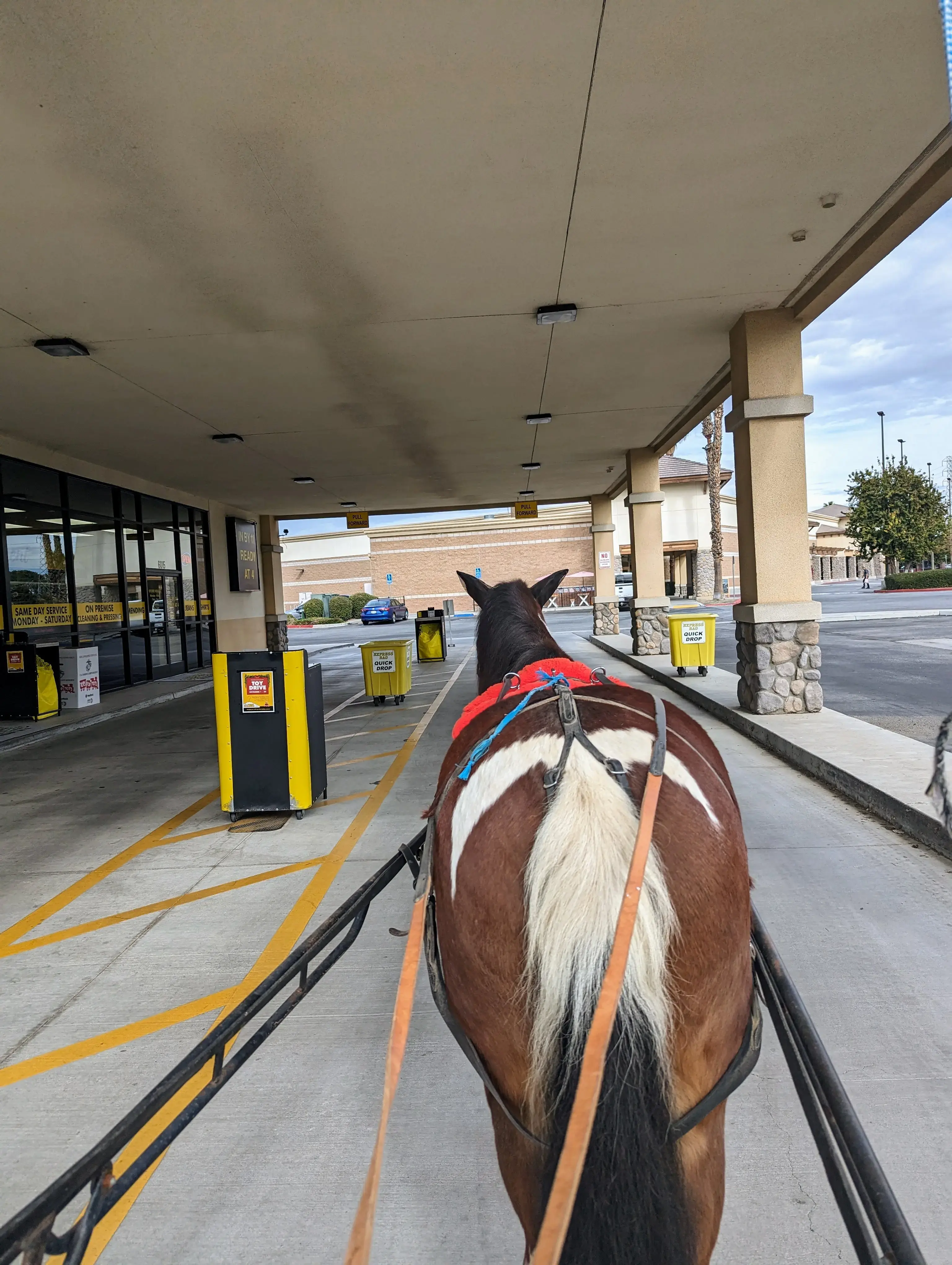 Today Cleaners thumbnail 2