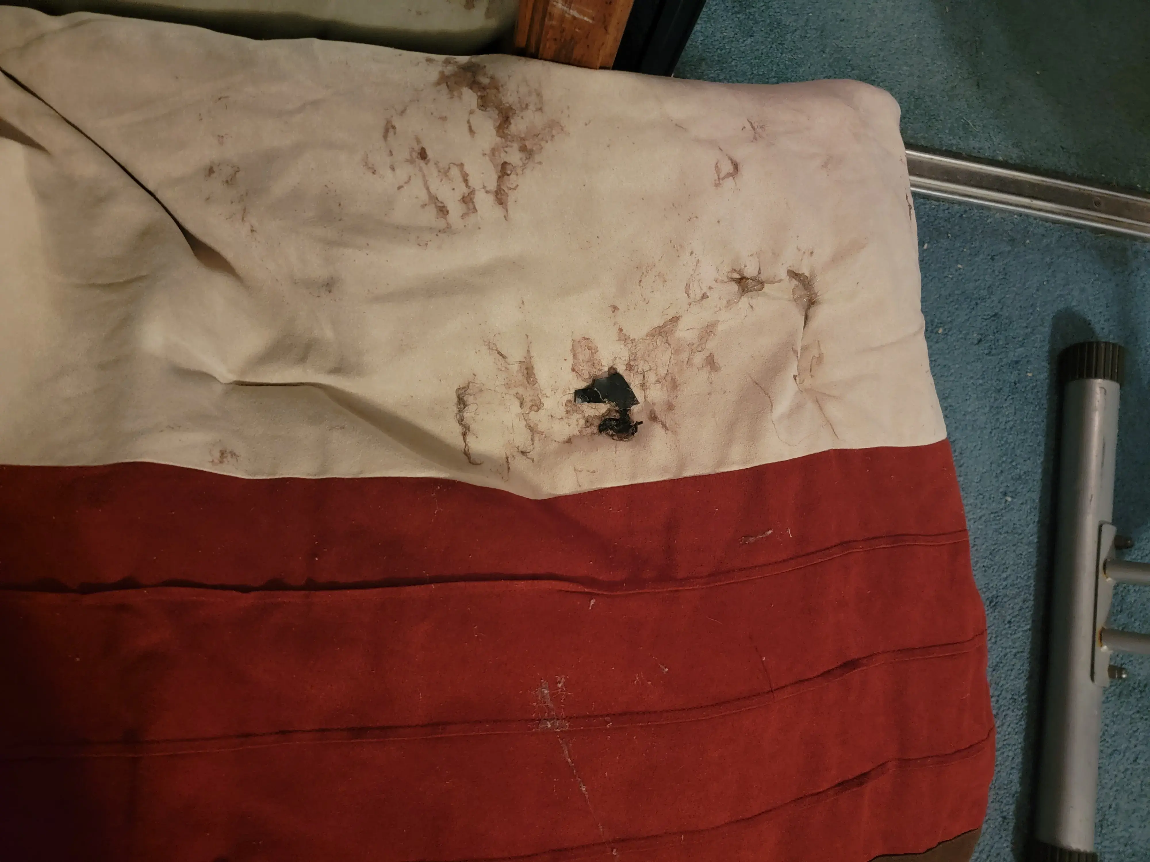 Today Cleaners - Image 11