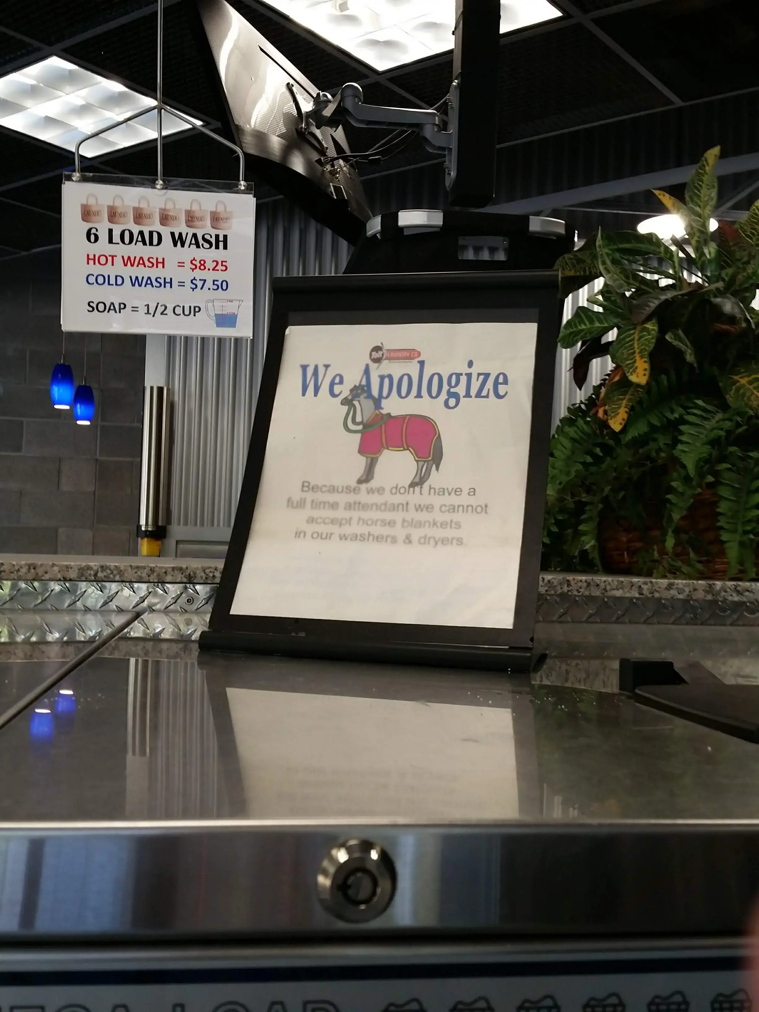 Tolt Laundry thumbnail 8