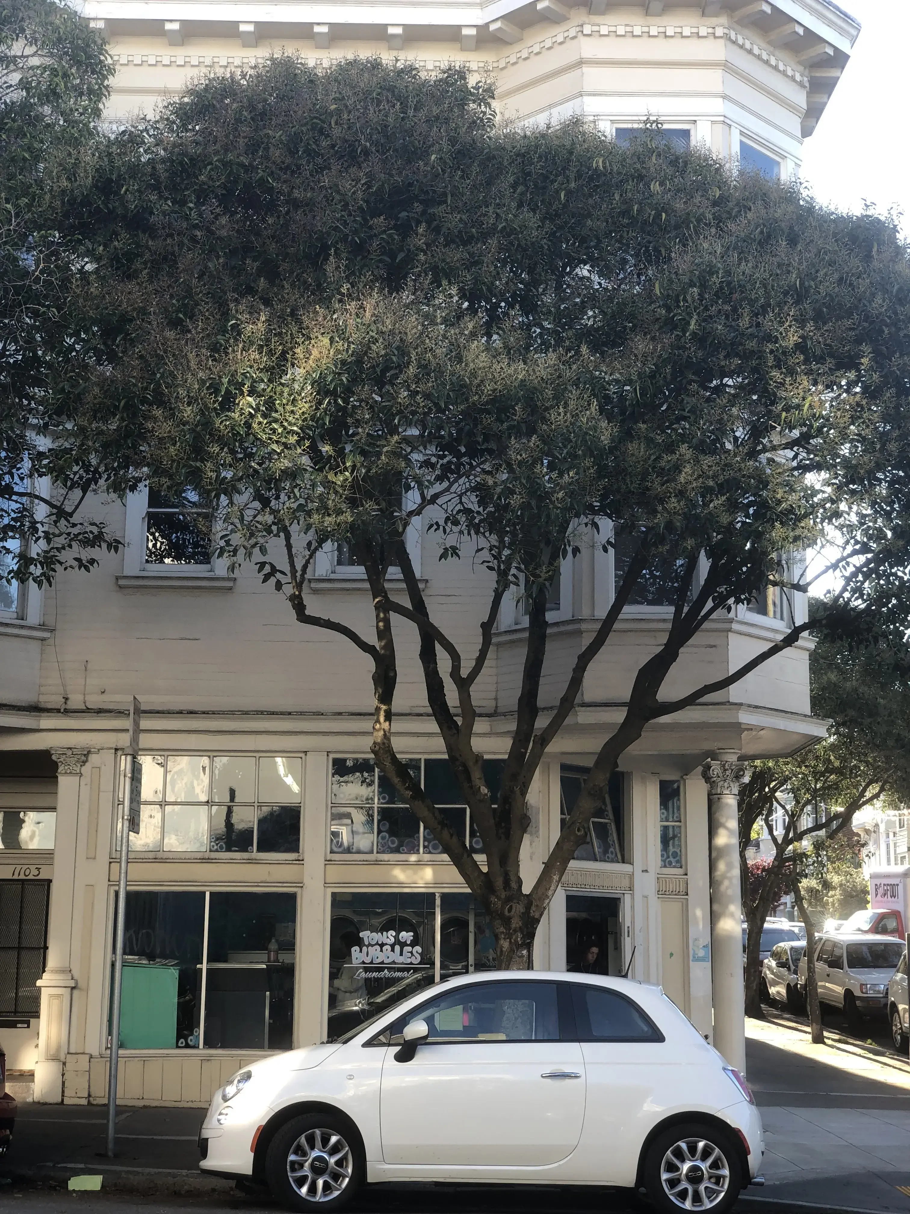 Tons of Bubbles Laundromat - Image 5