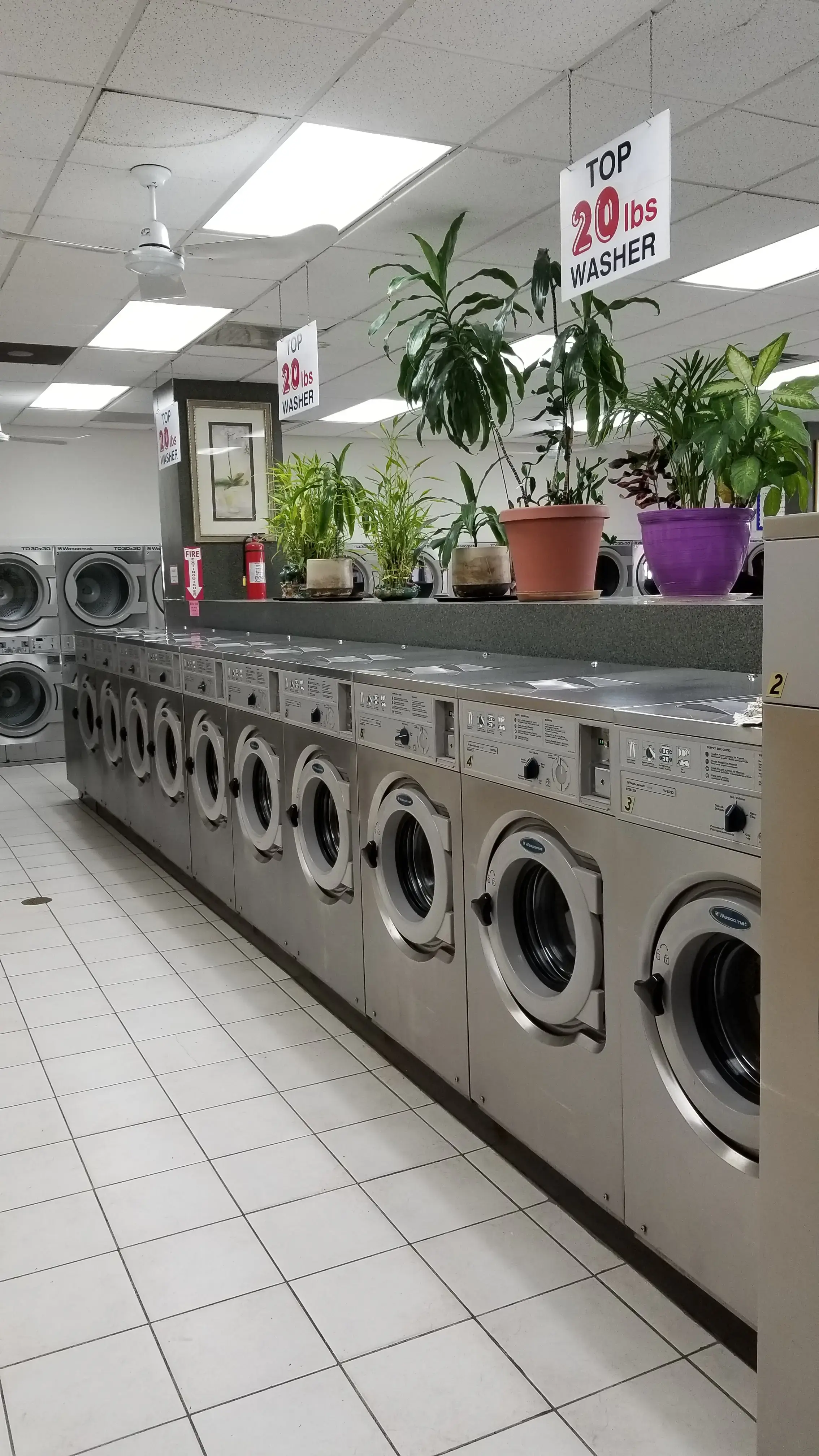 Top Coin Laundry thumbnail 8