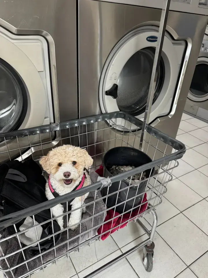 Top Coin Laundry thumbnail 3