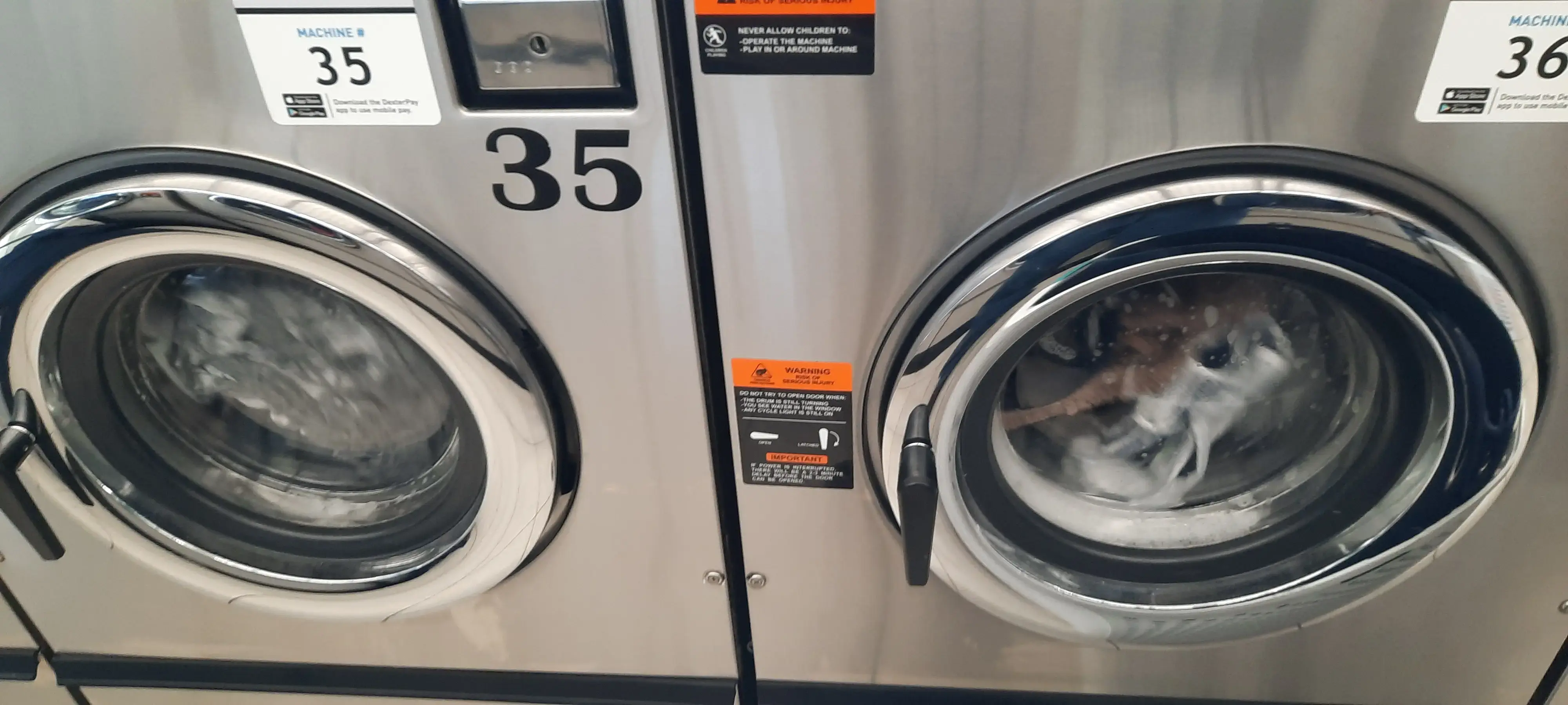 Top Shelf Laundromat and Wash-n-Fold thumbnail 14