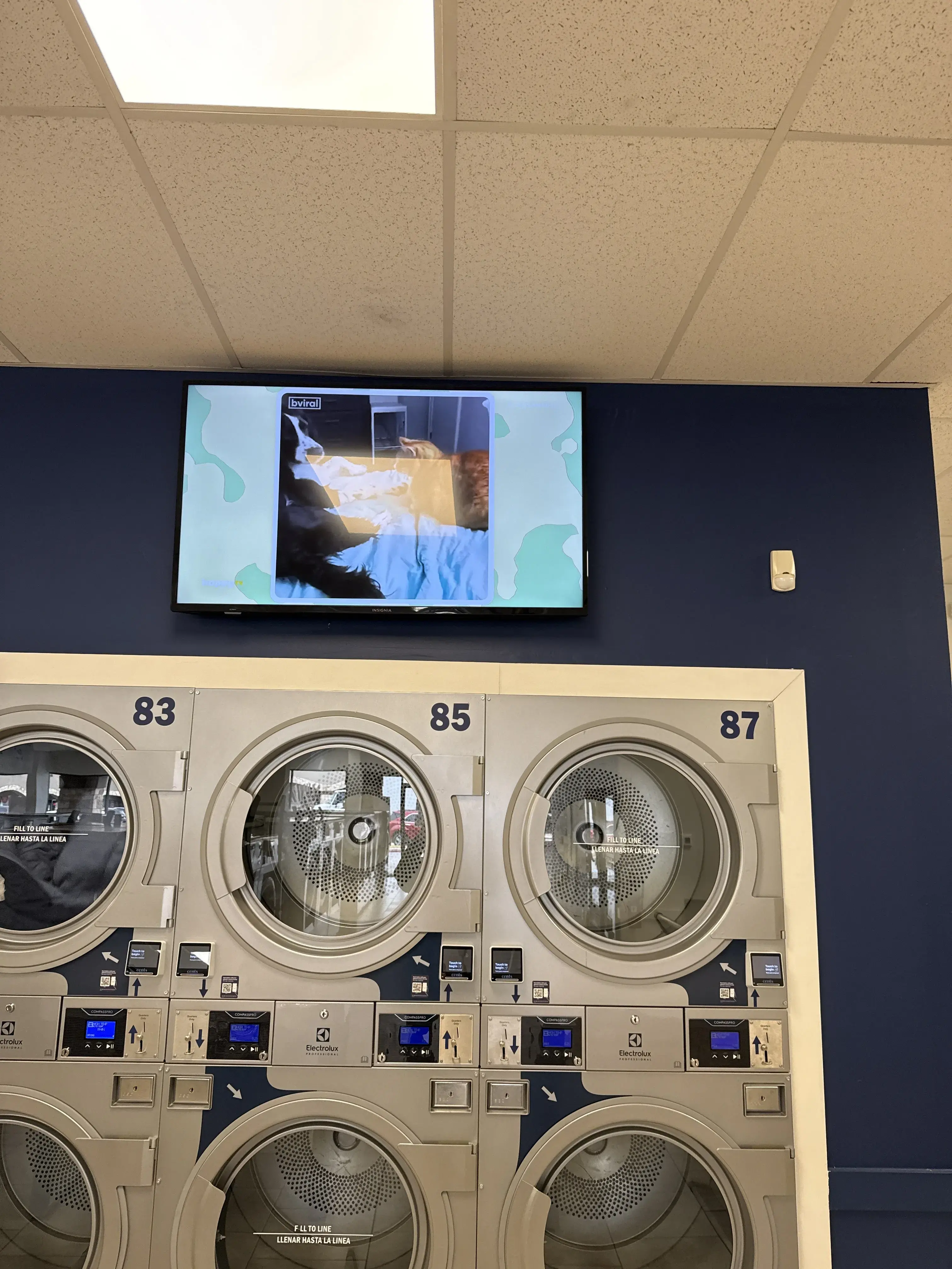 Top Wash Laundry thumbnail 11