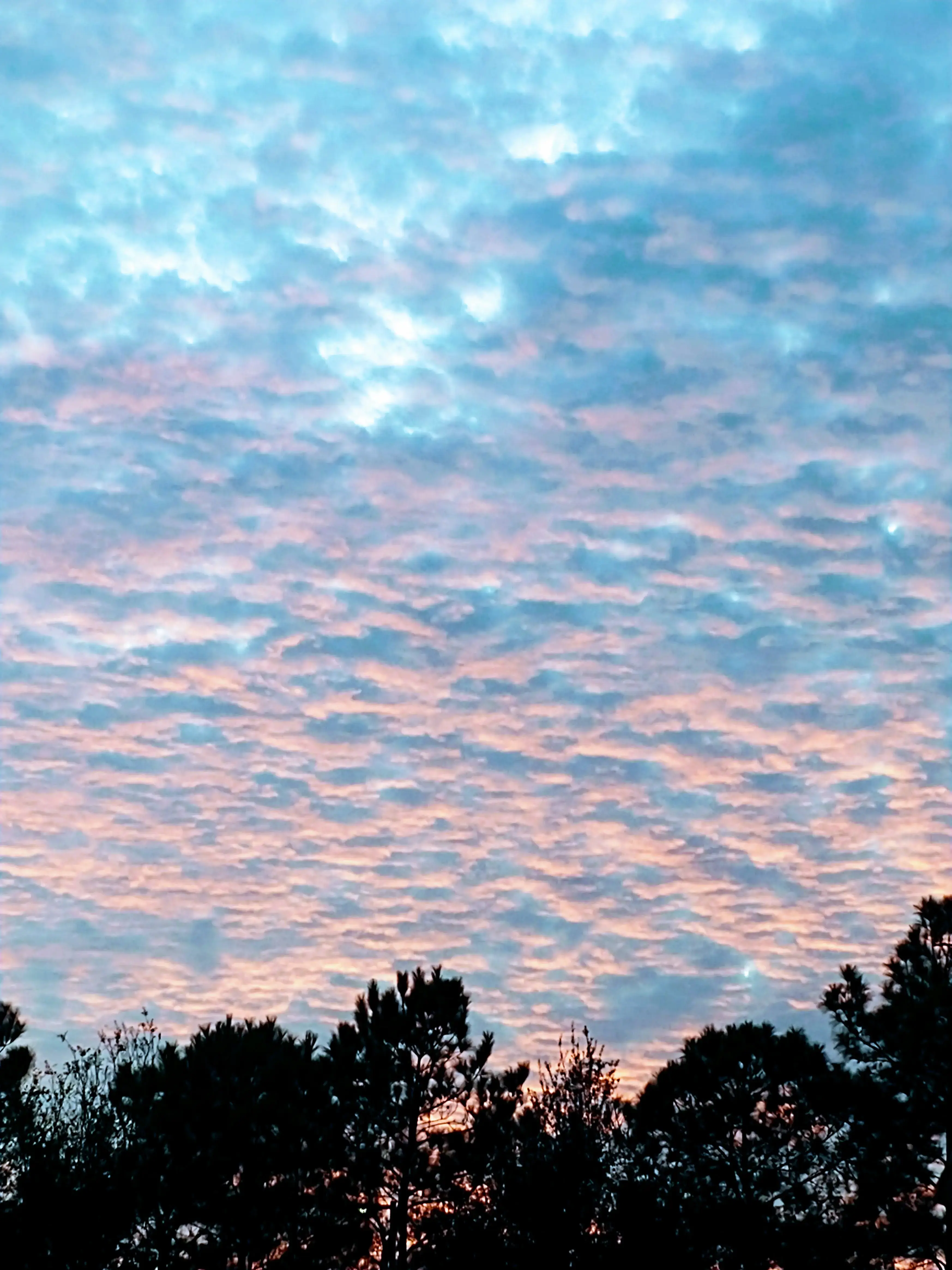 Tops Cleaners thumbnail 7