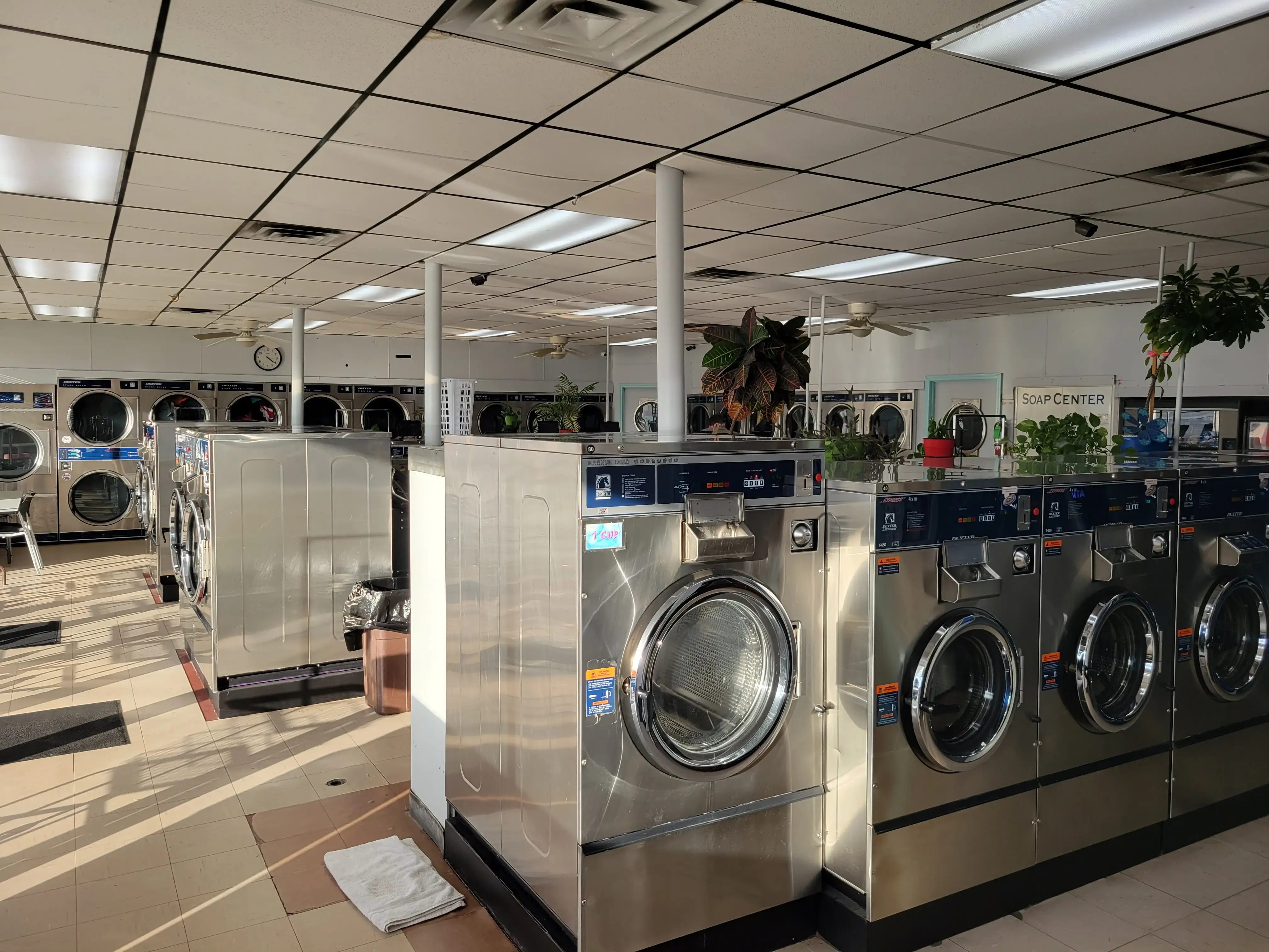 Toss N Wash - Image 11