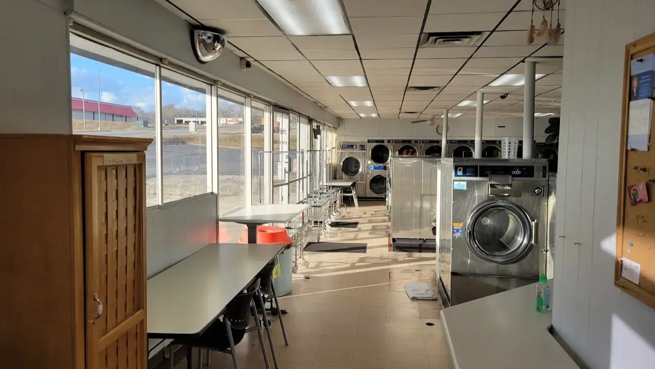 Toss N Wash thumbnail 1