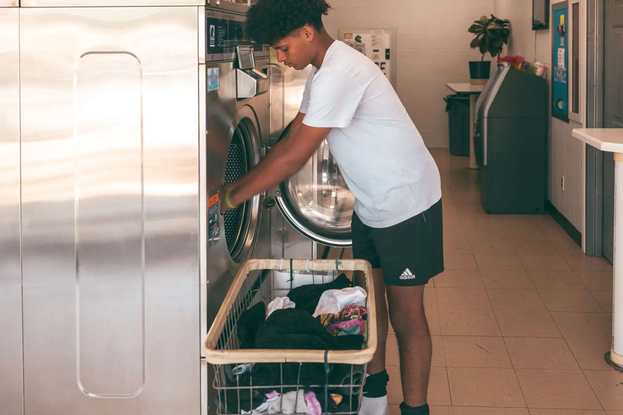 Toss N Wash - Image 4