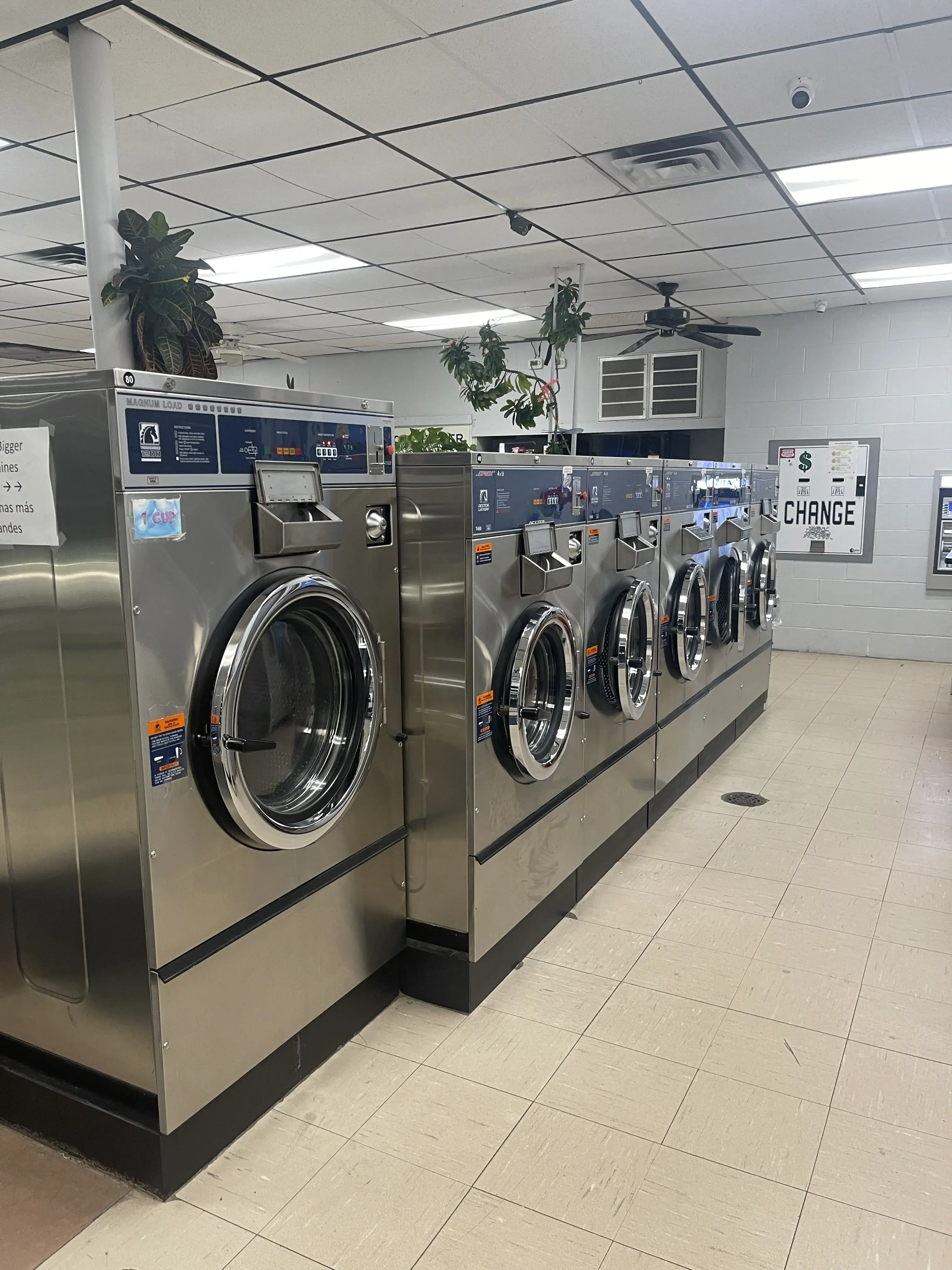 Toss N Wash - Image 13