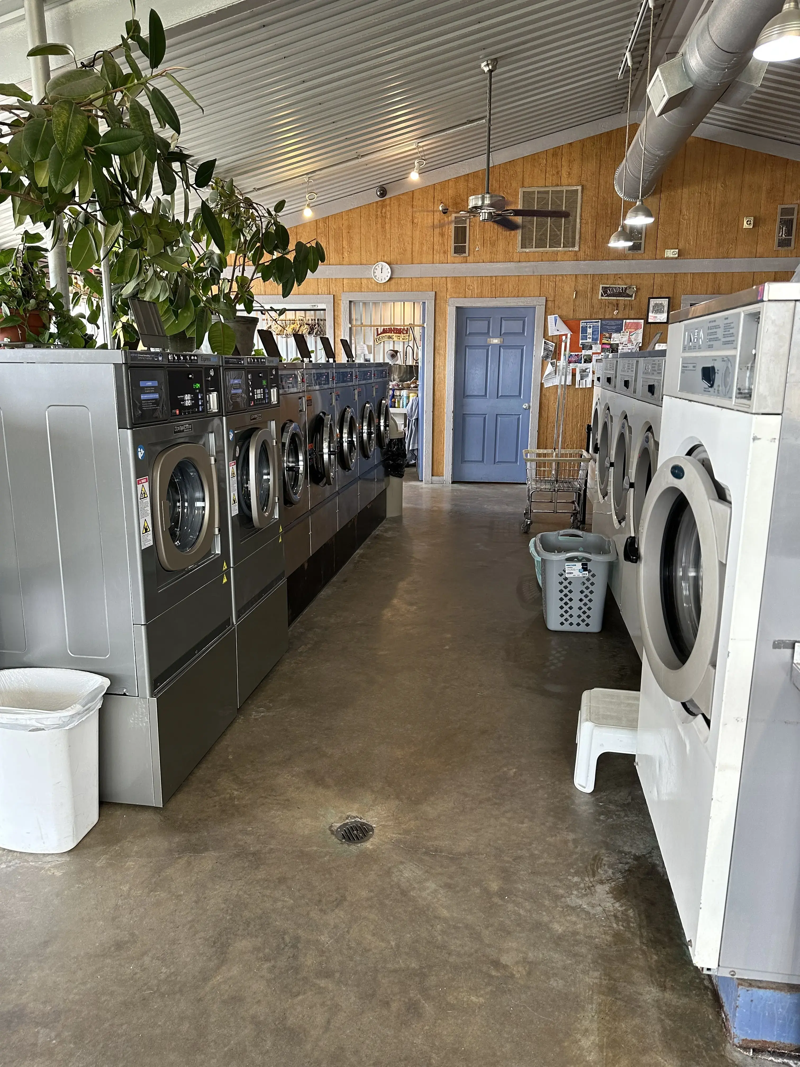 Town West Coin Laundry thumbnail 4