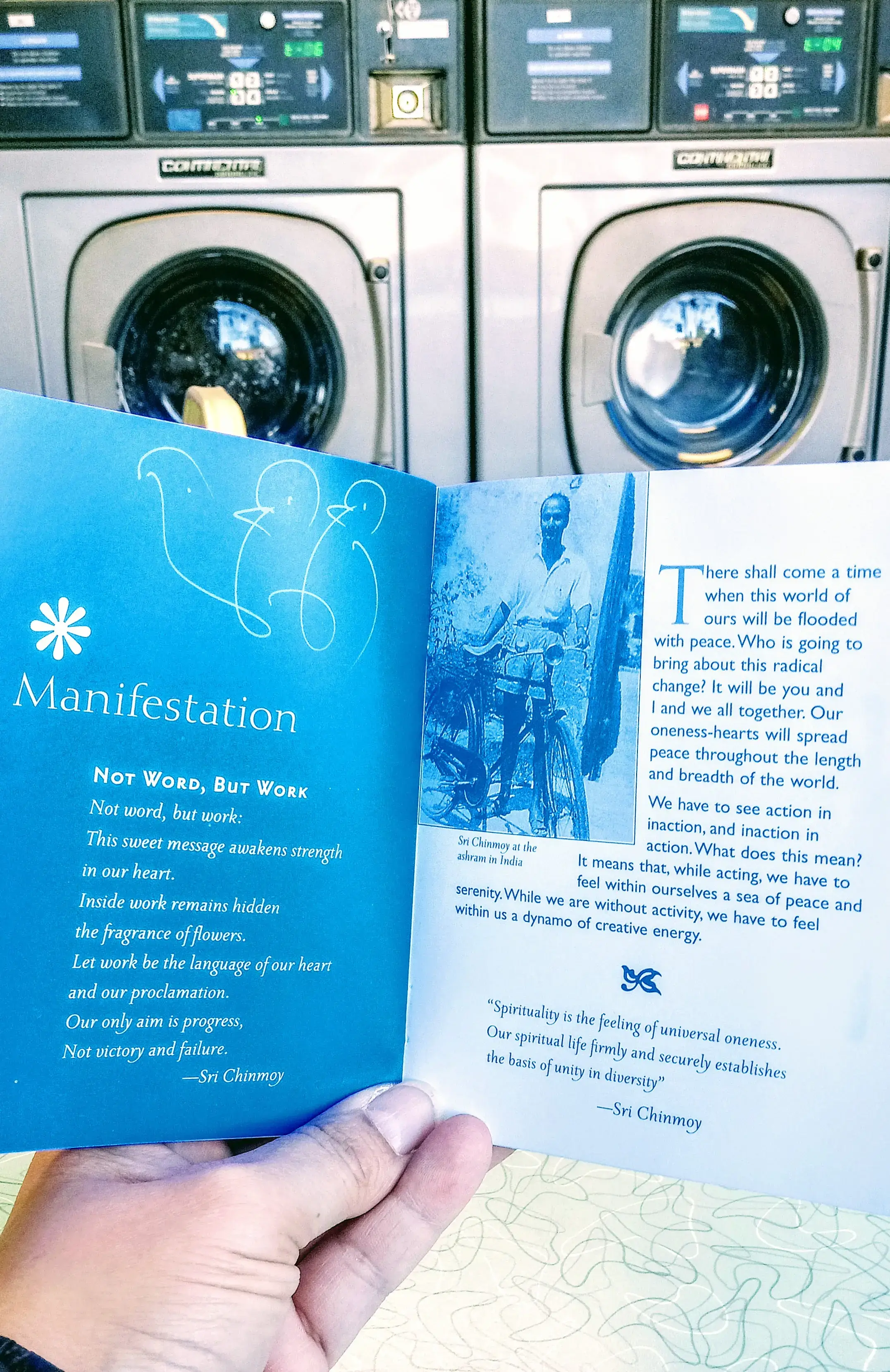 Transformation-Surprise thumbnail 10