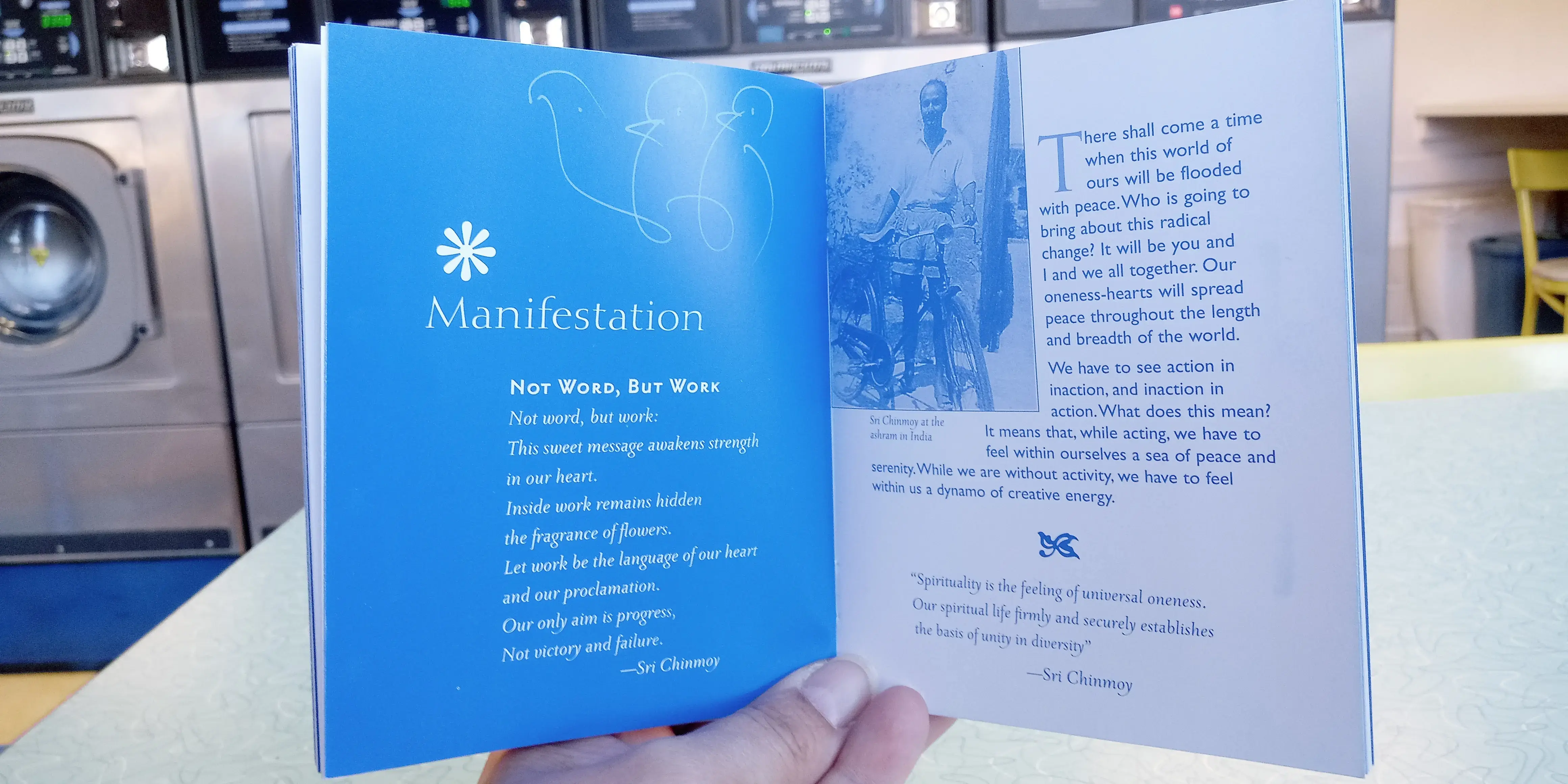 Transformation-Surprise thumbnail 12