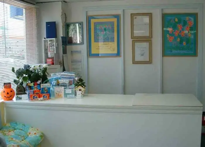 Transformation-Surprise - Image 6