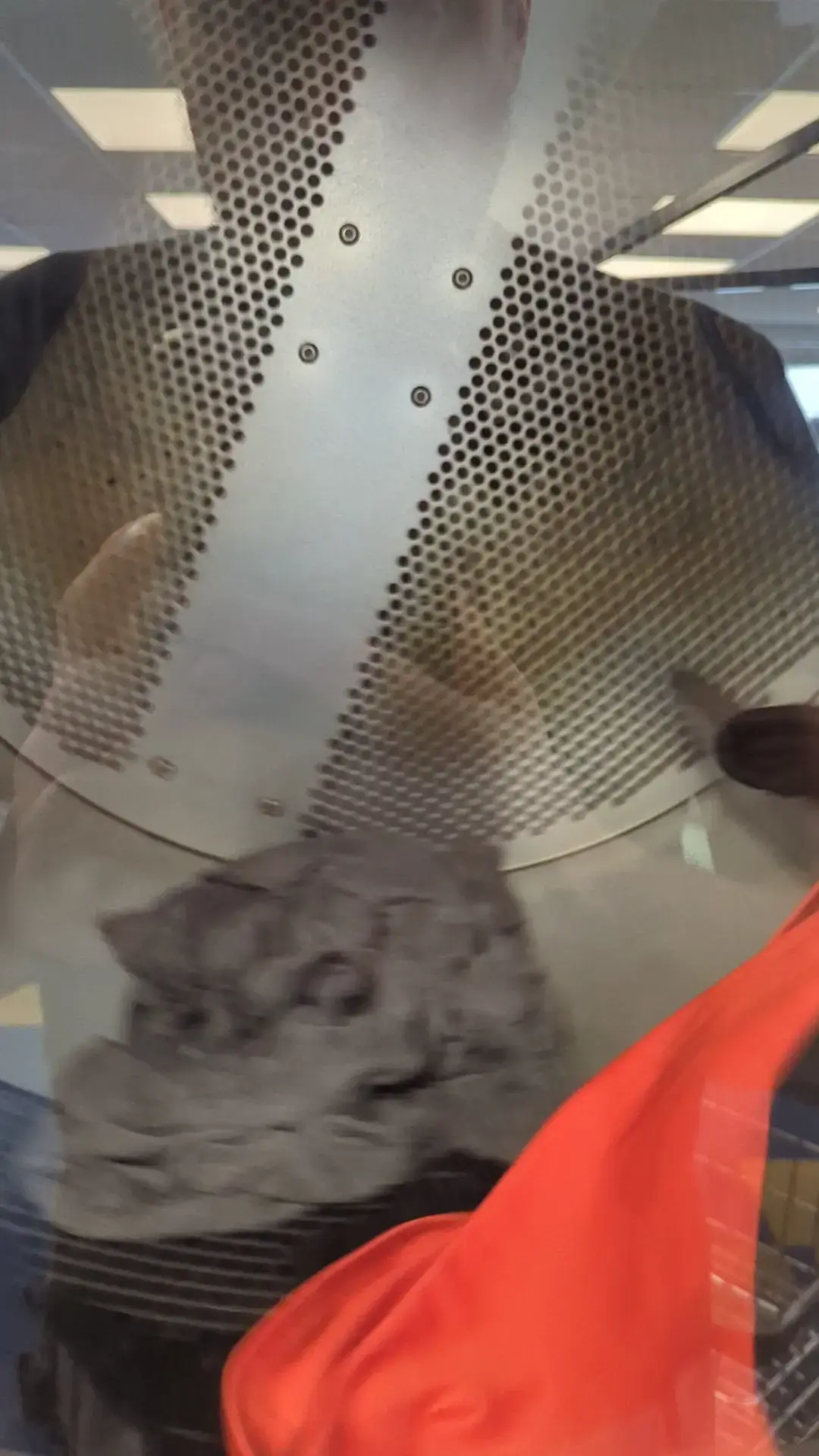 Transformation-Surprise - Image 14