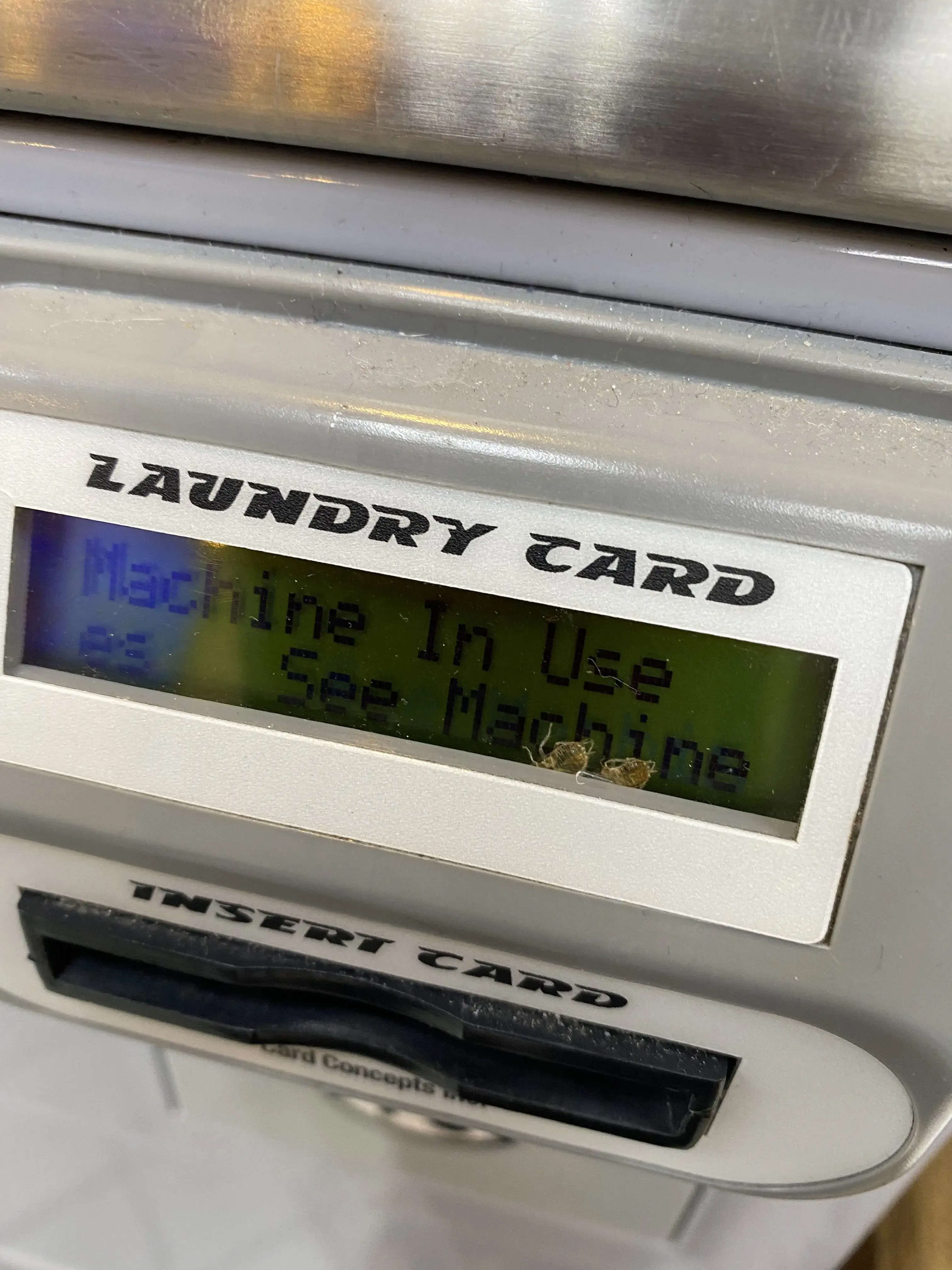 Triple Clean Laundromat thumbnail 13