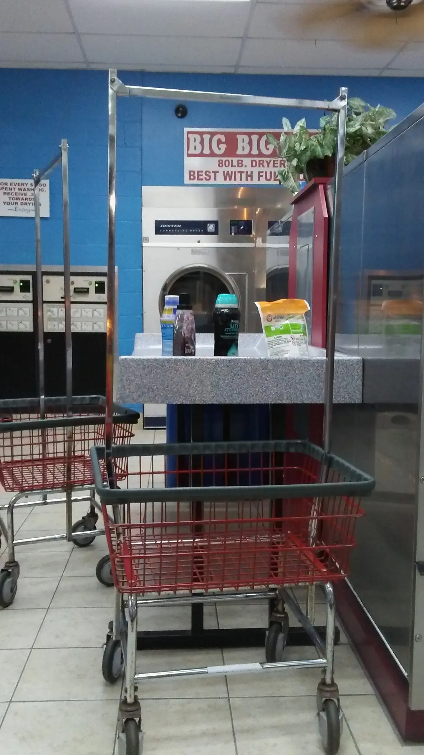 Tropical Breeze Laundromat - Image 5