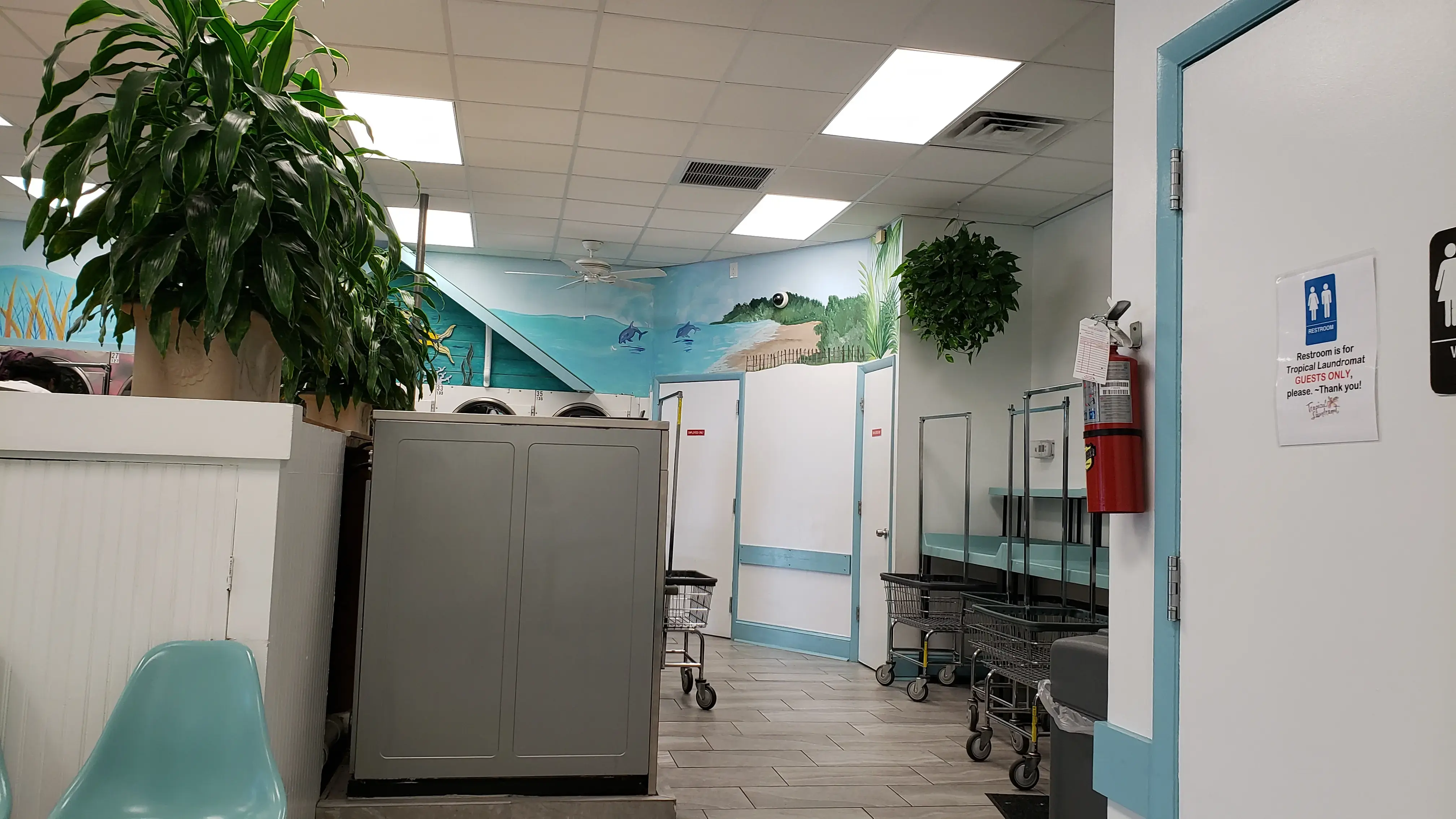 Tropical Laundromat - Image 3