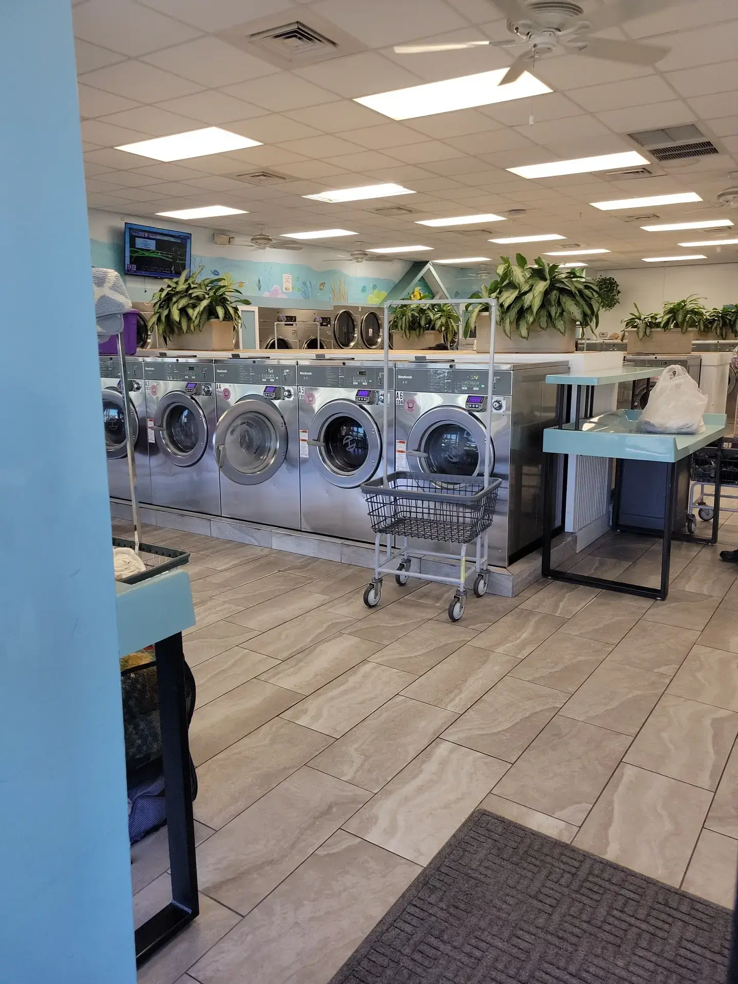 Tropical Laundromat - Image 1