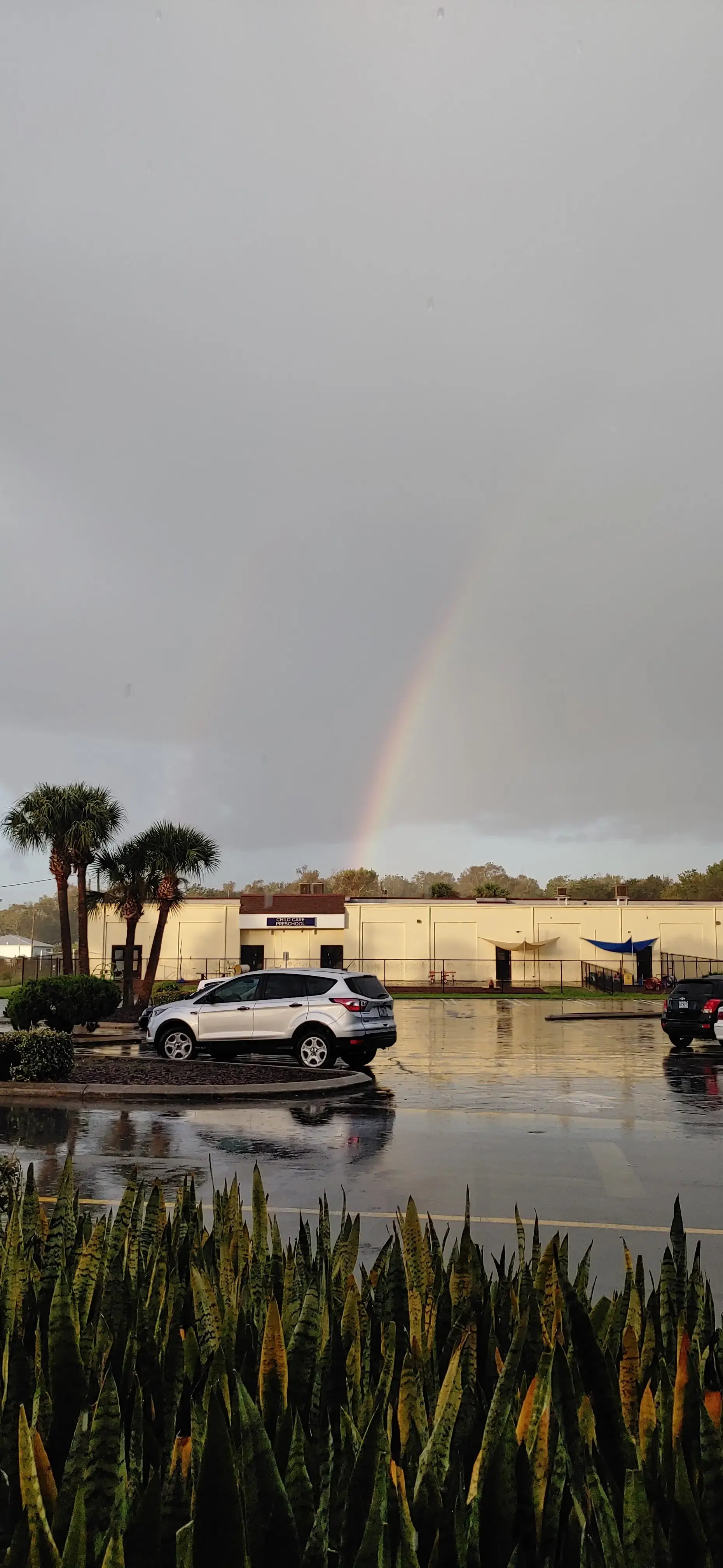 Tropical Laundromat thumbnail 6