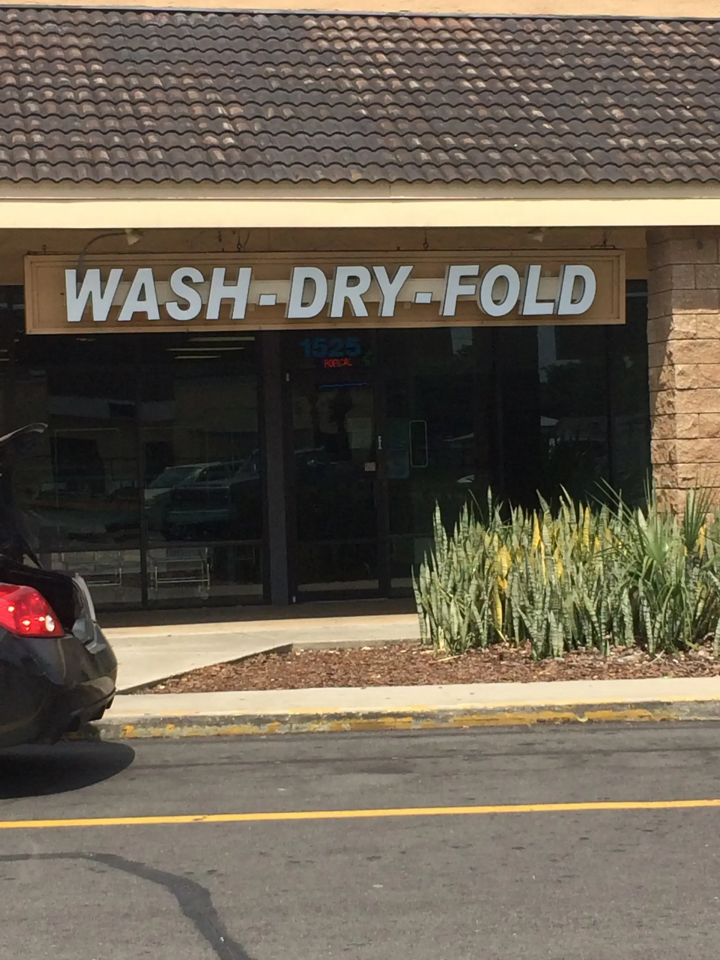 Tropical Laundromat - Image 12