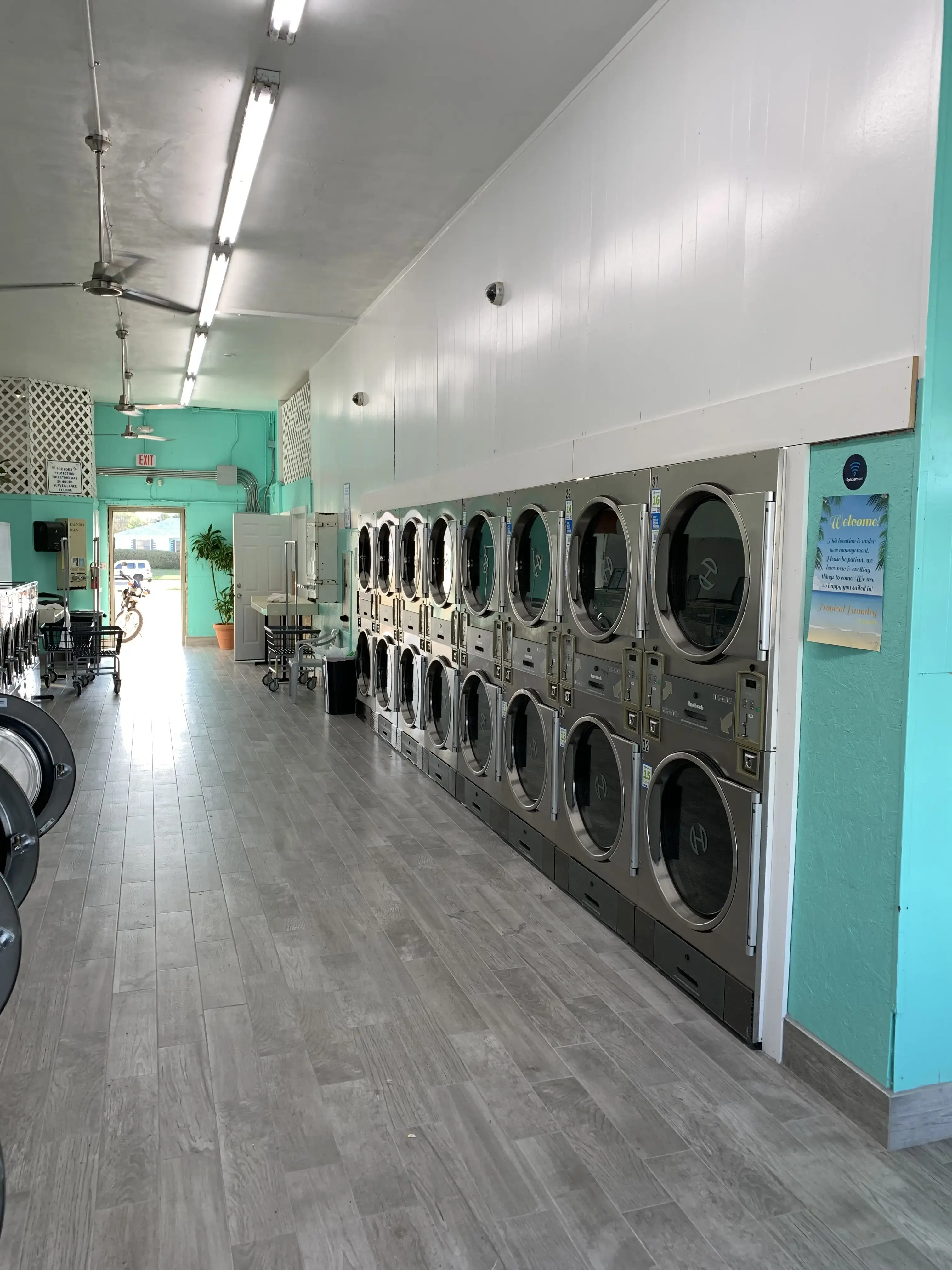 Tropical Laundry Beachside thumbnail 16