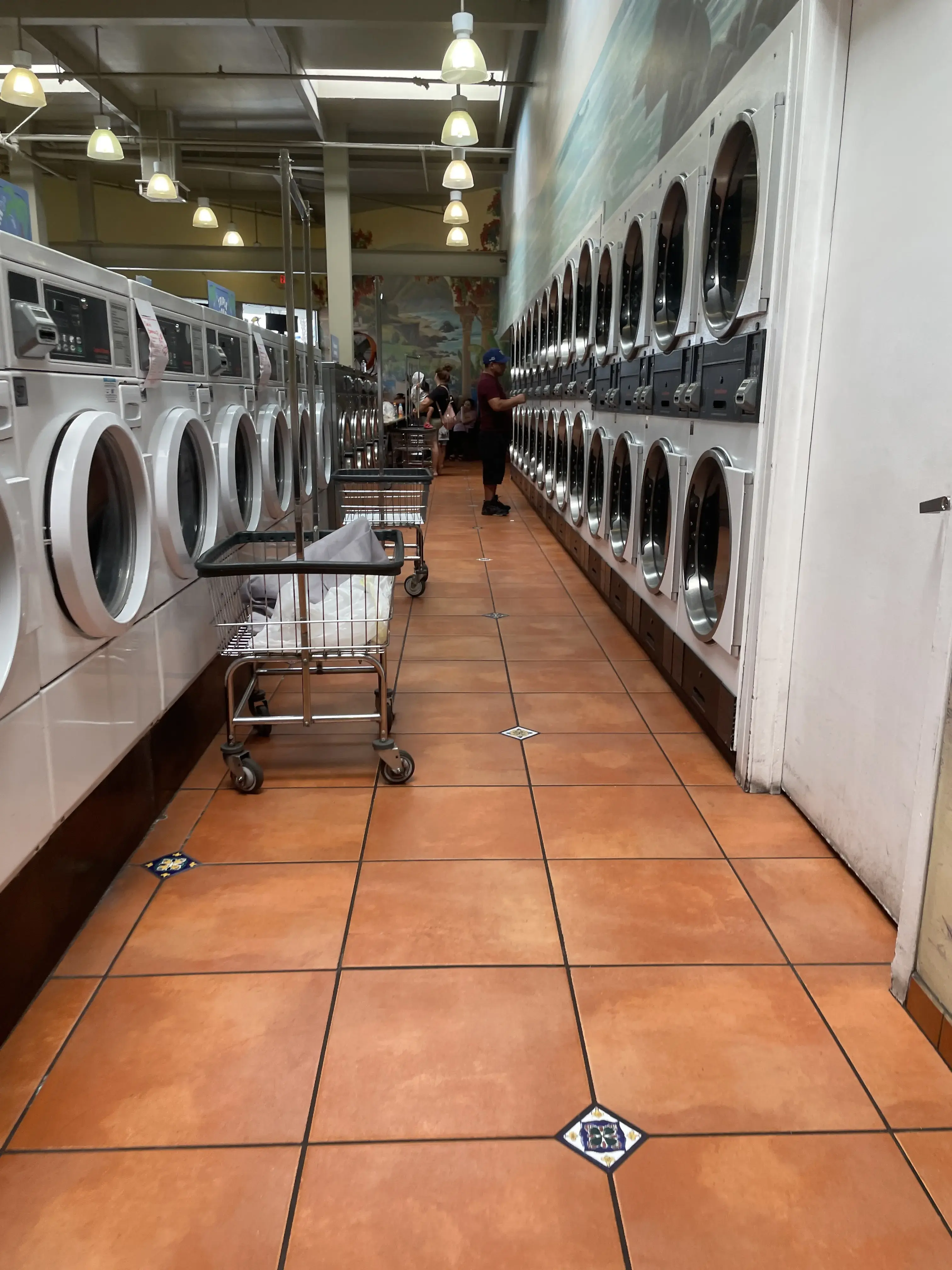 Tropicana Laundry location