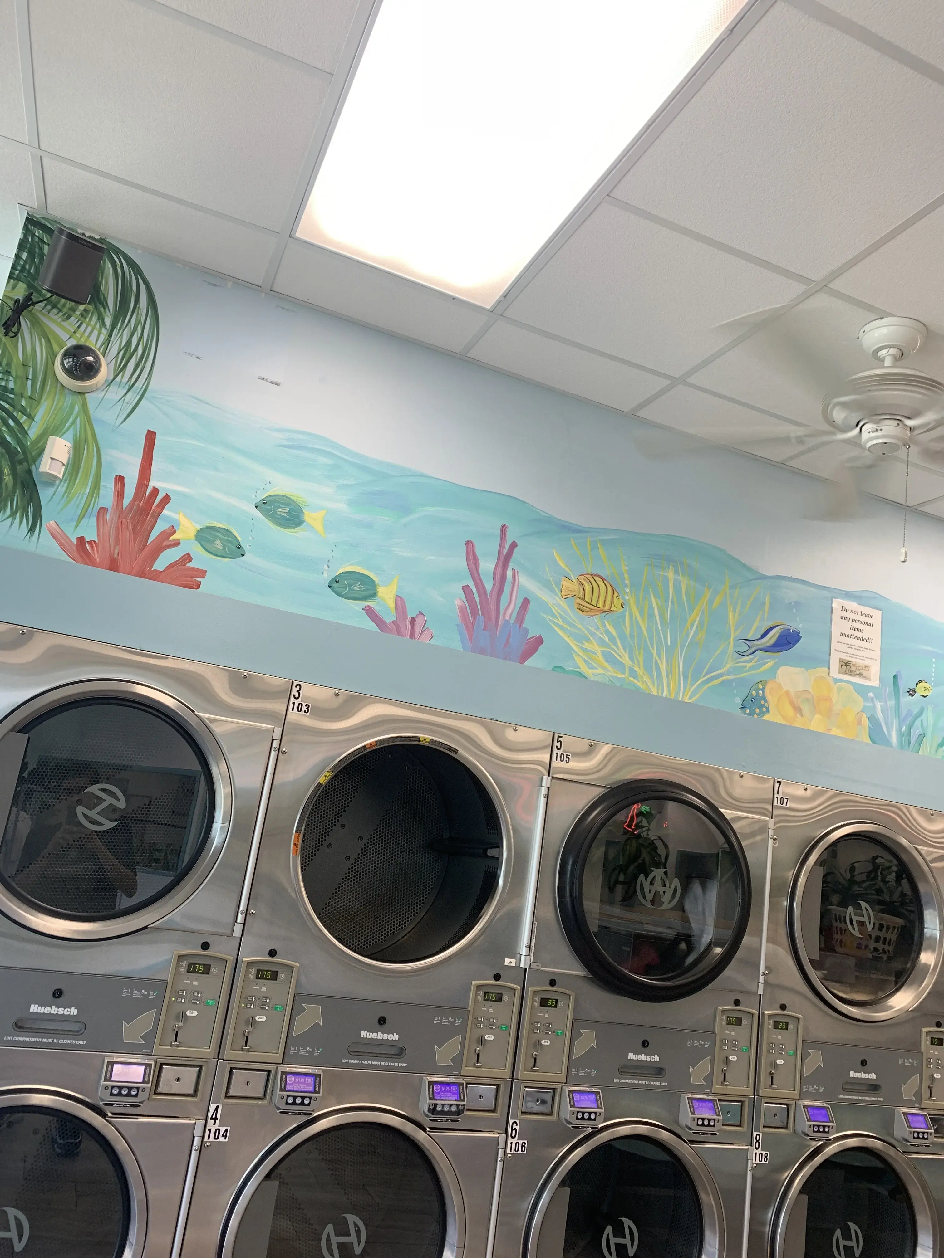 Tropicana Laundry thumbnail 18