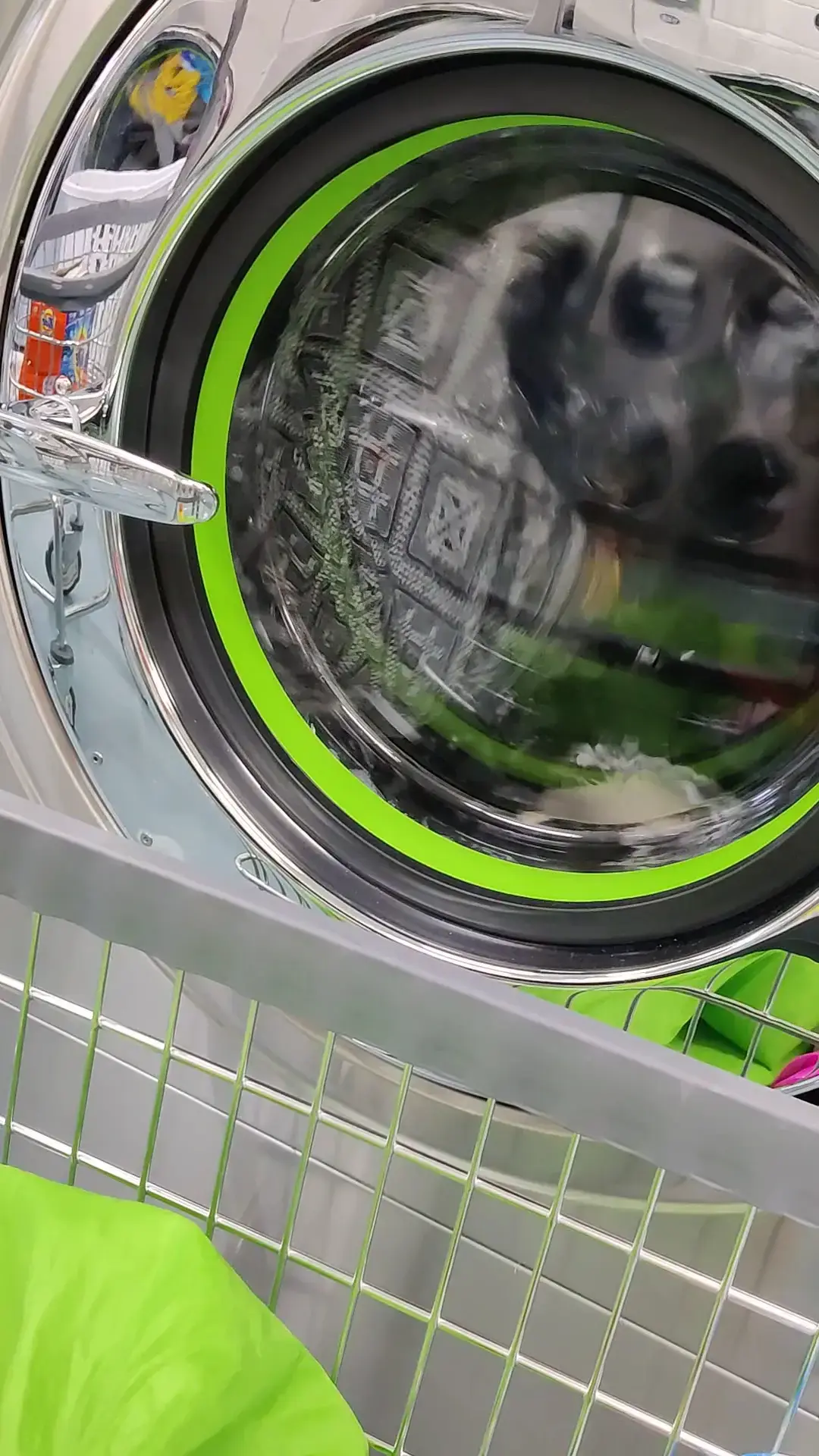 Tropix Laundromat - Silver Spring thumbnail 2