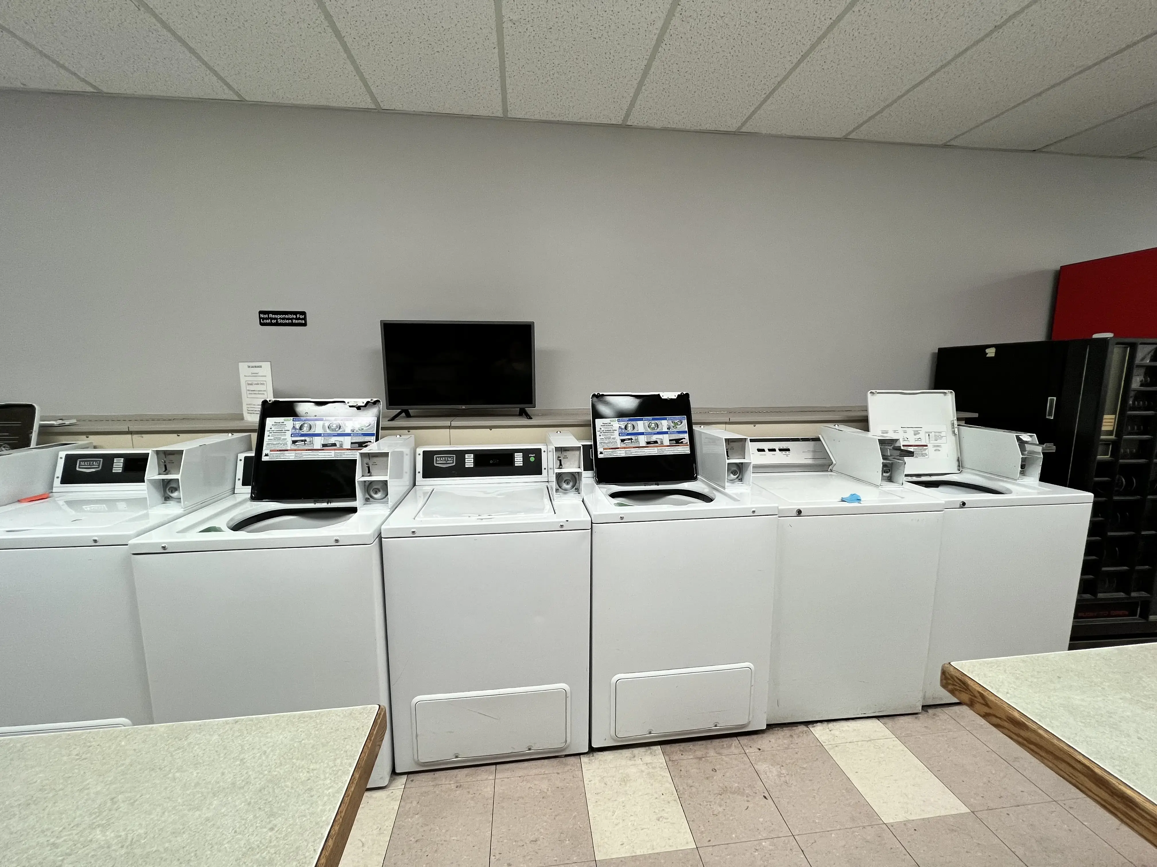 Tumble- South Hill thumbnail 8