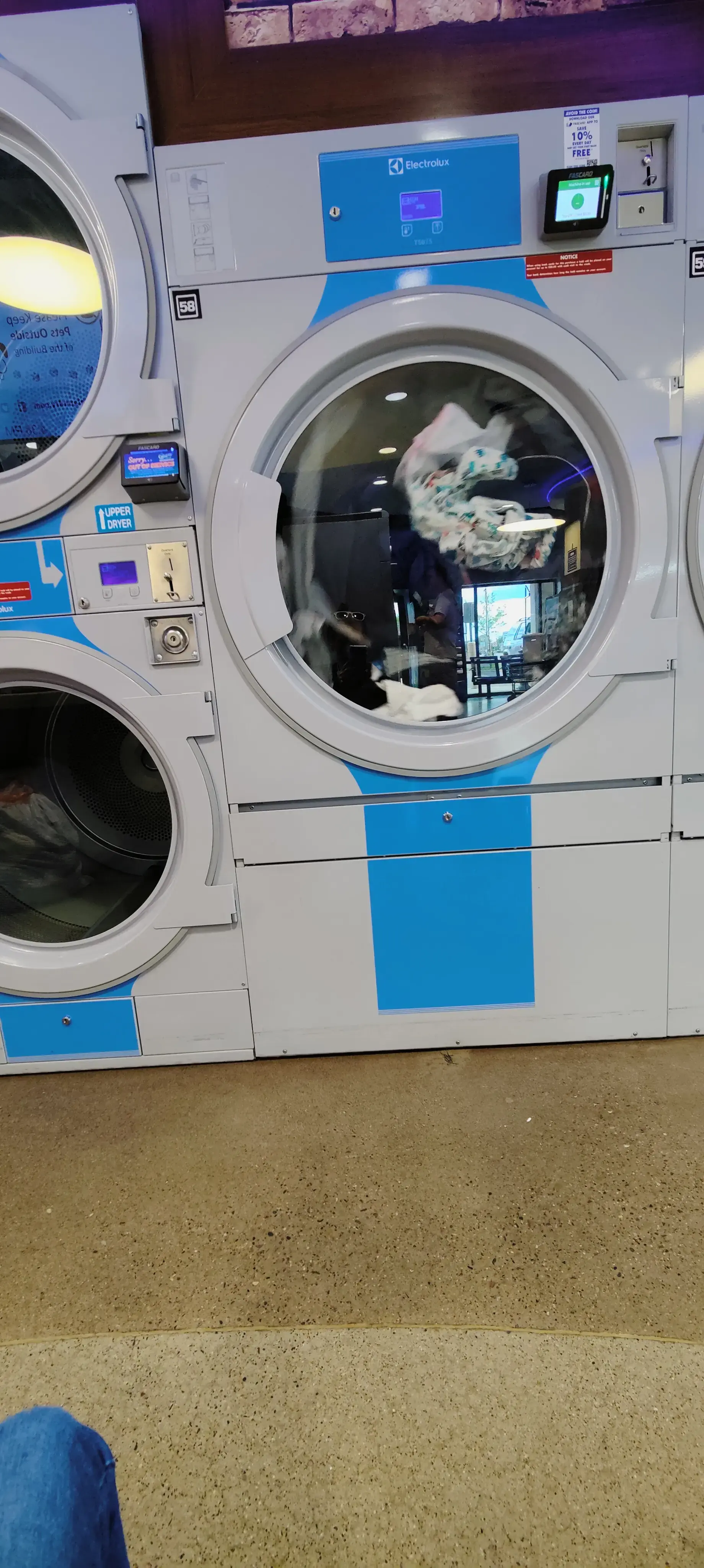 Tumble Fresh Coin Laundry - Image 18