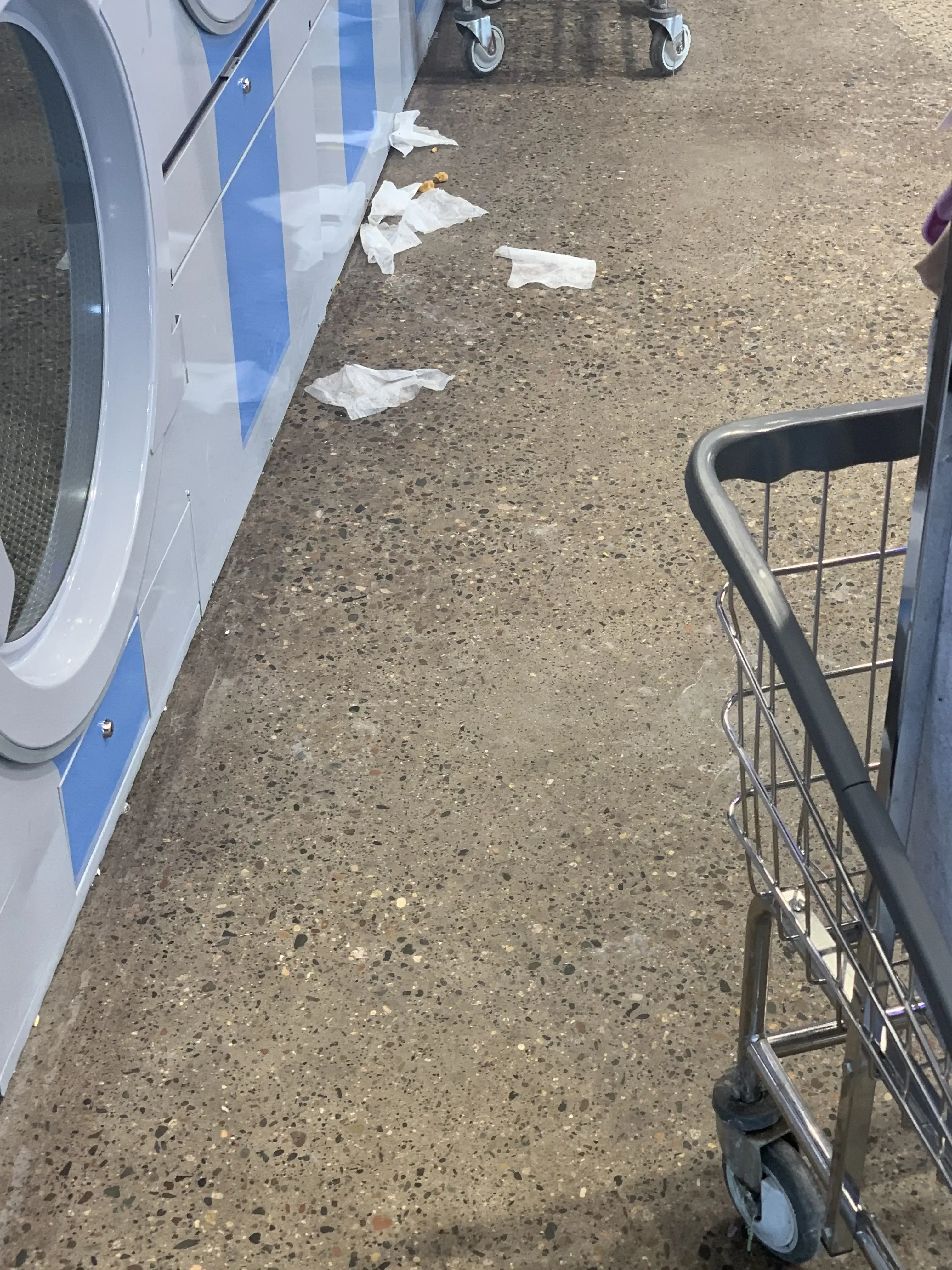 Tumble Fresh Coin Laundry thumbnail 8