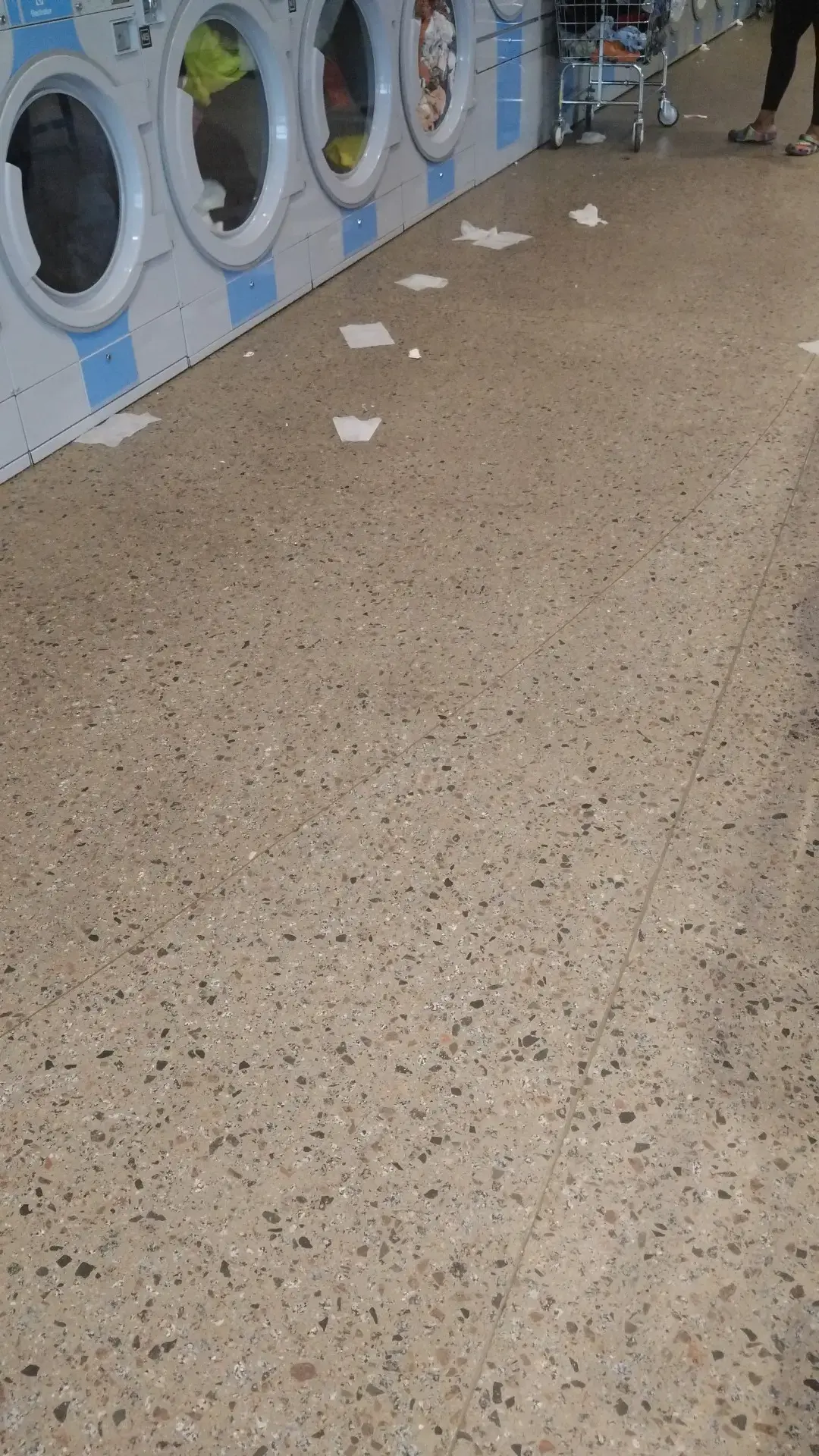 Tumble Fresh Coin Laundry thumbnail 12