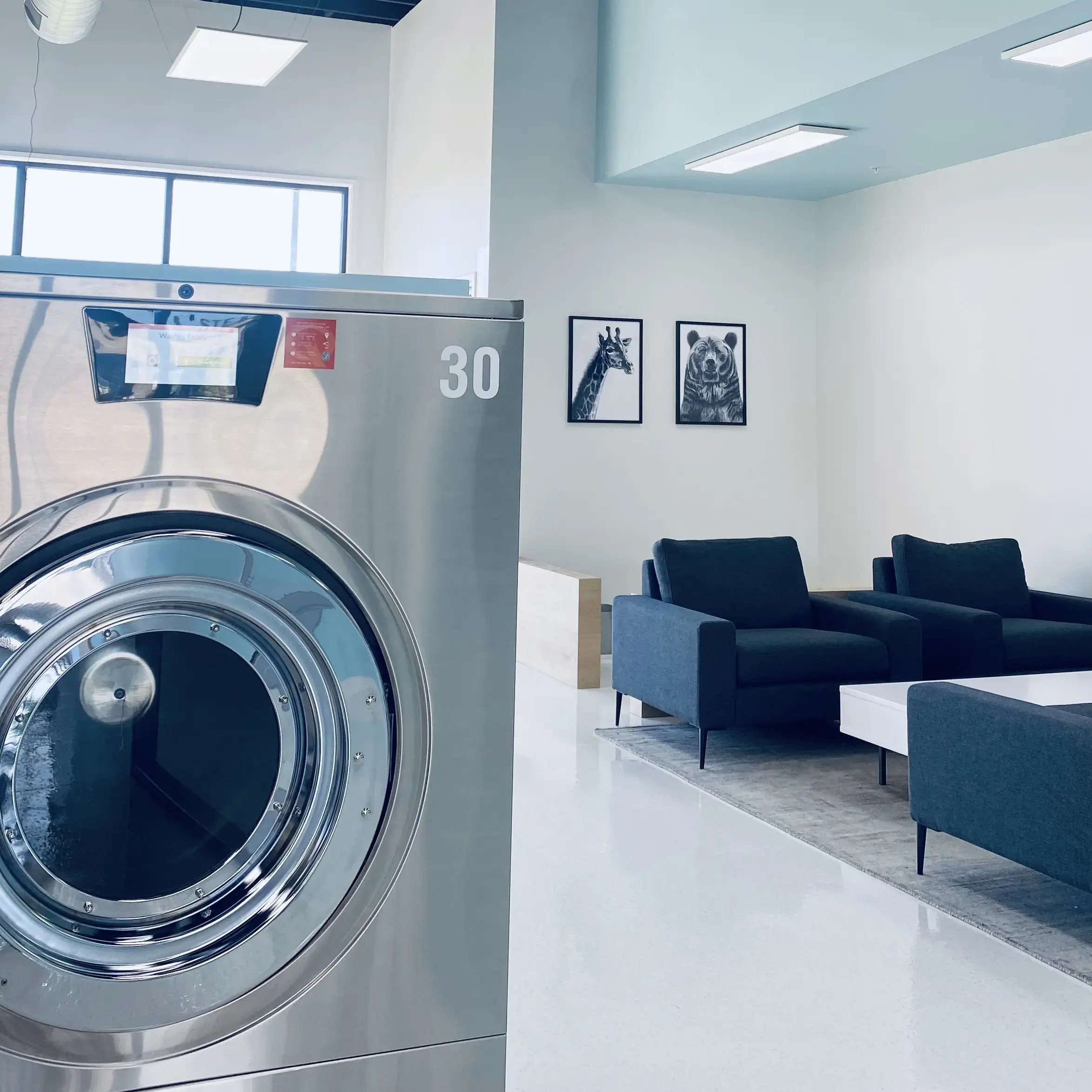 Tumble Laundry thumbnail 10