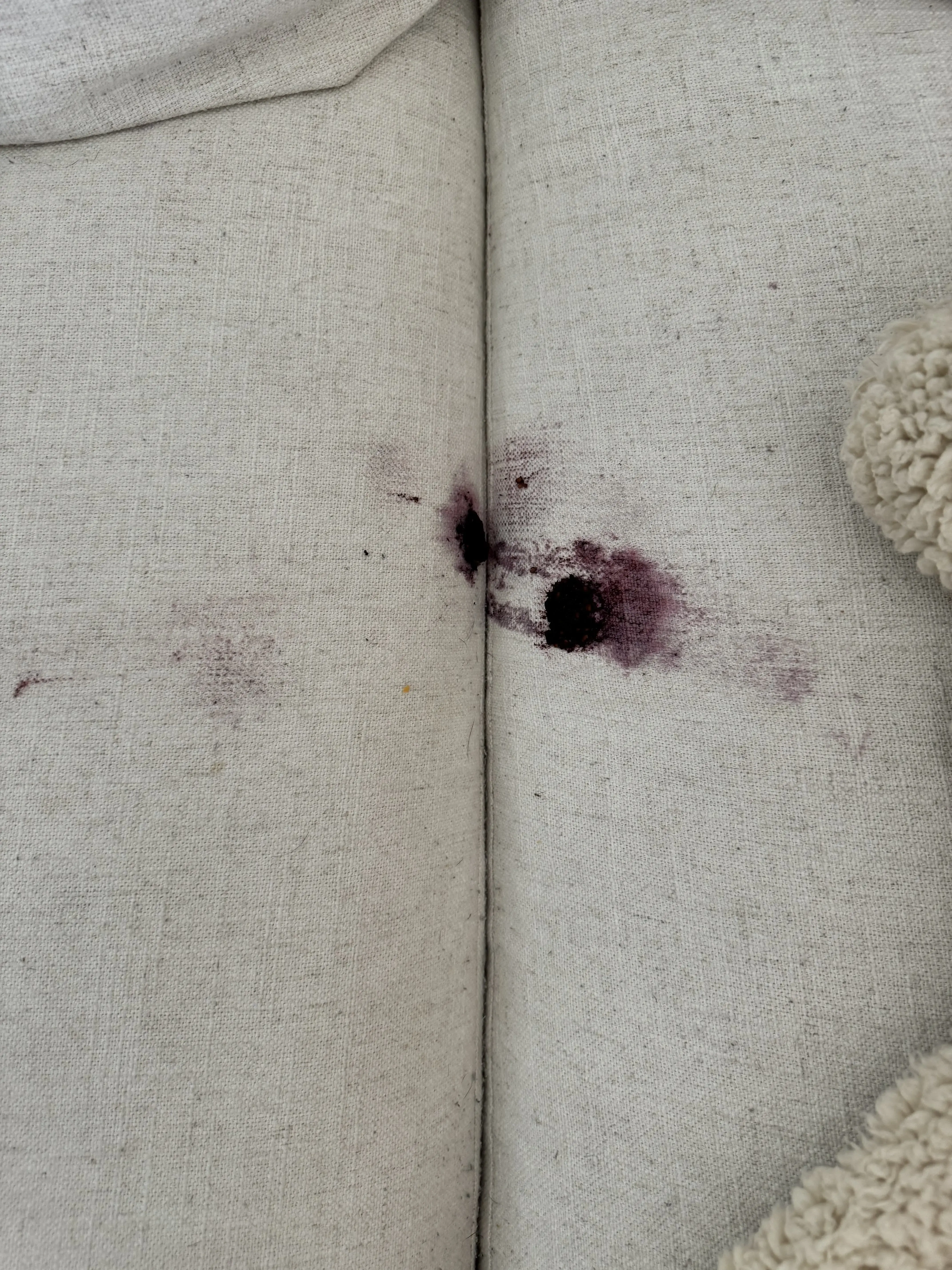 Twin Peaks Cleaners - Image 7