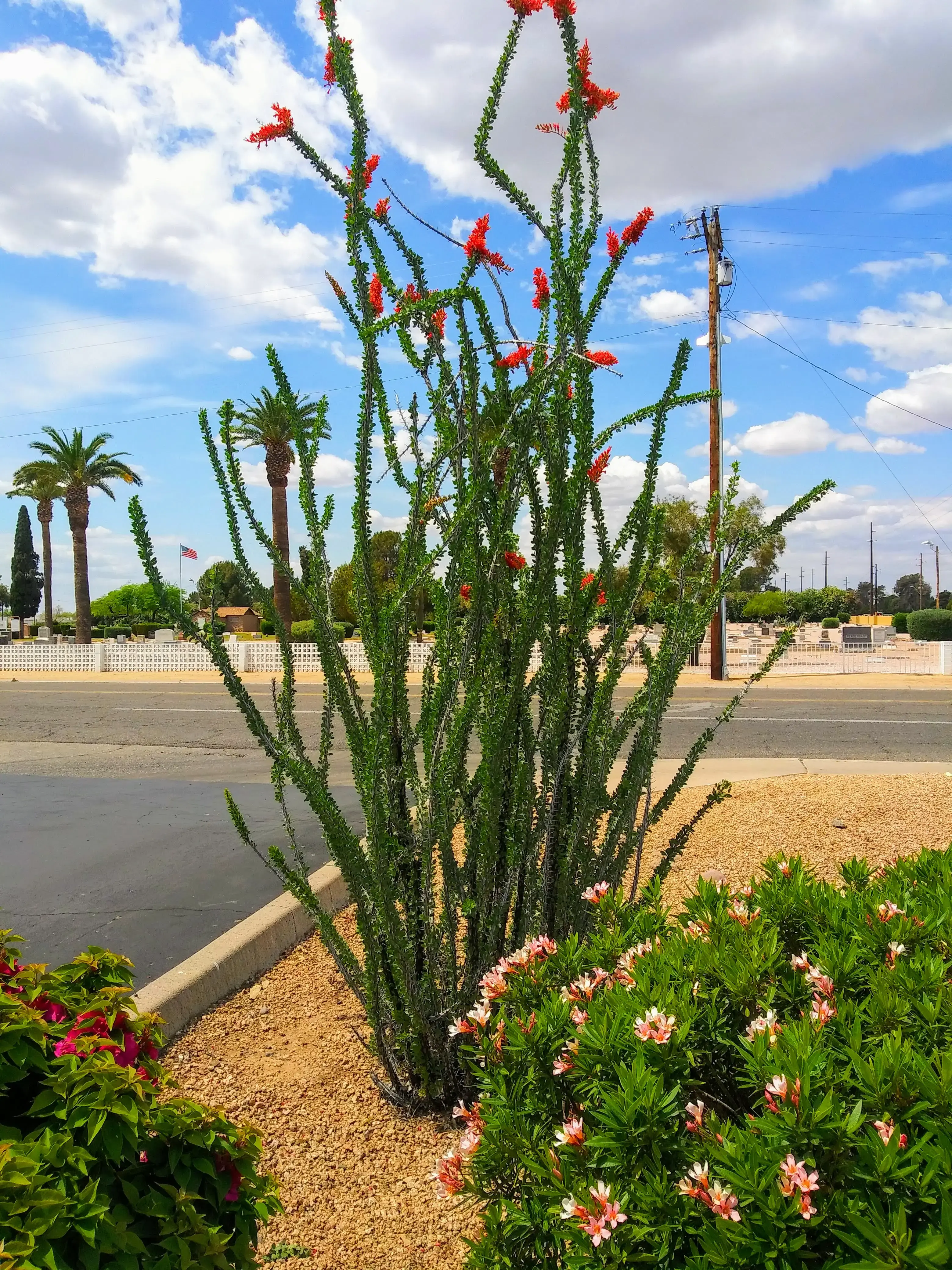 U-Save Laundry - Image 12