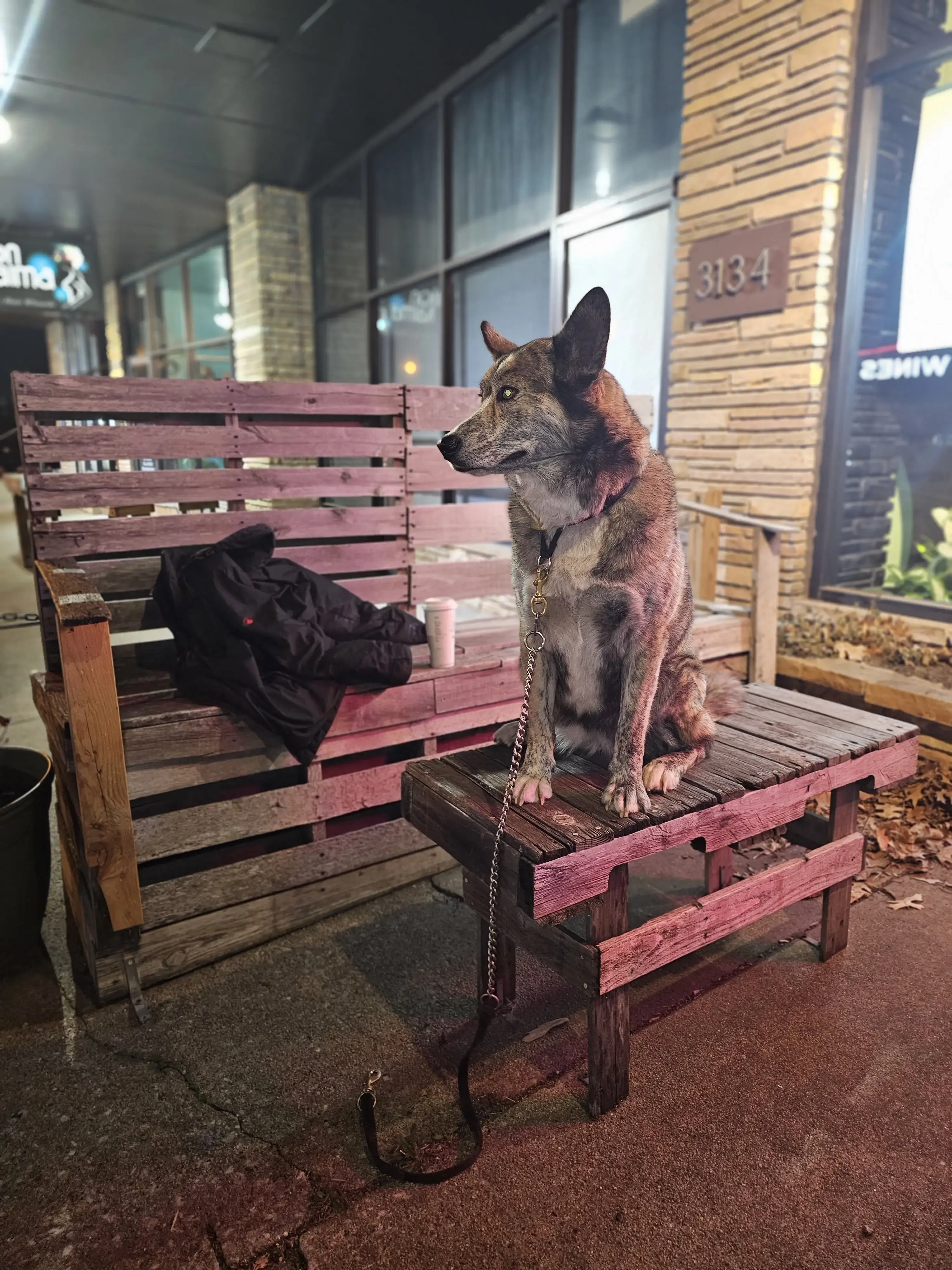 University of Wash Laundromat Arcade Bar - Image 11