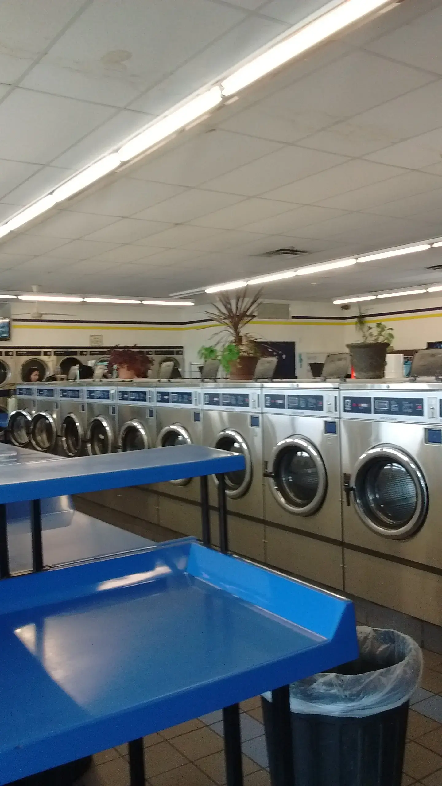 V & G Laundry - Image 15
